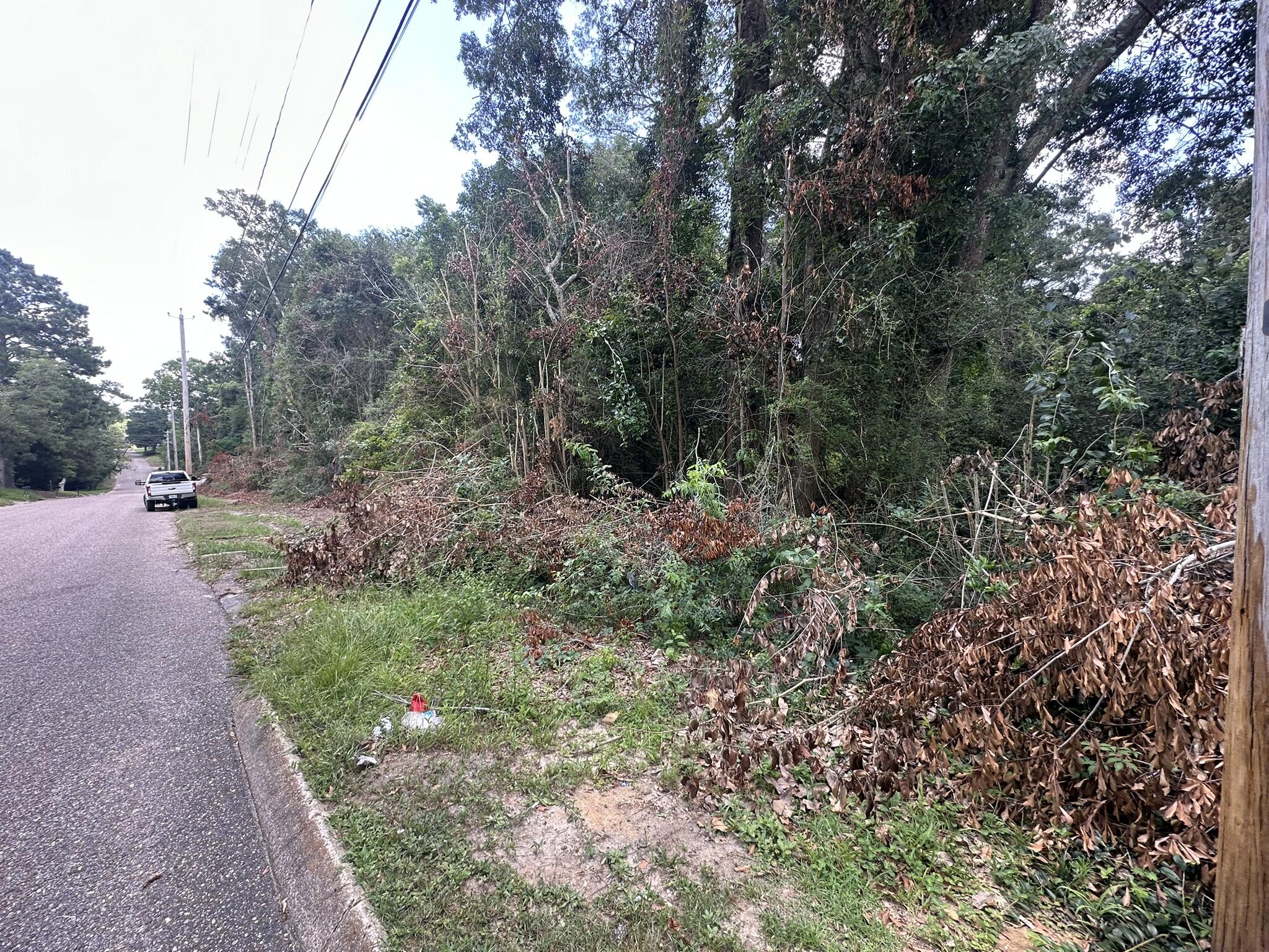 Fairview ADD - Alabama - Land