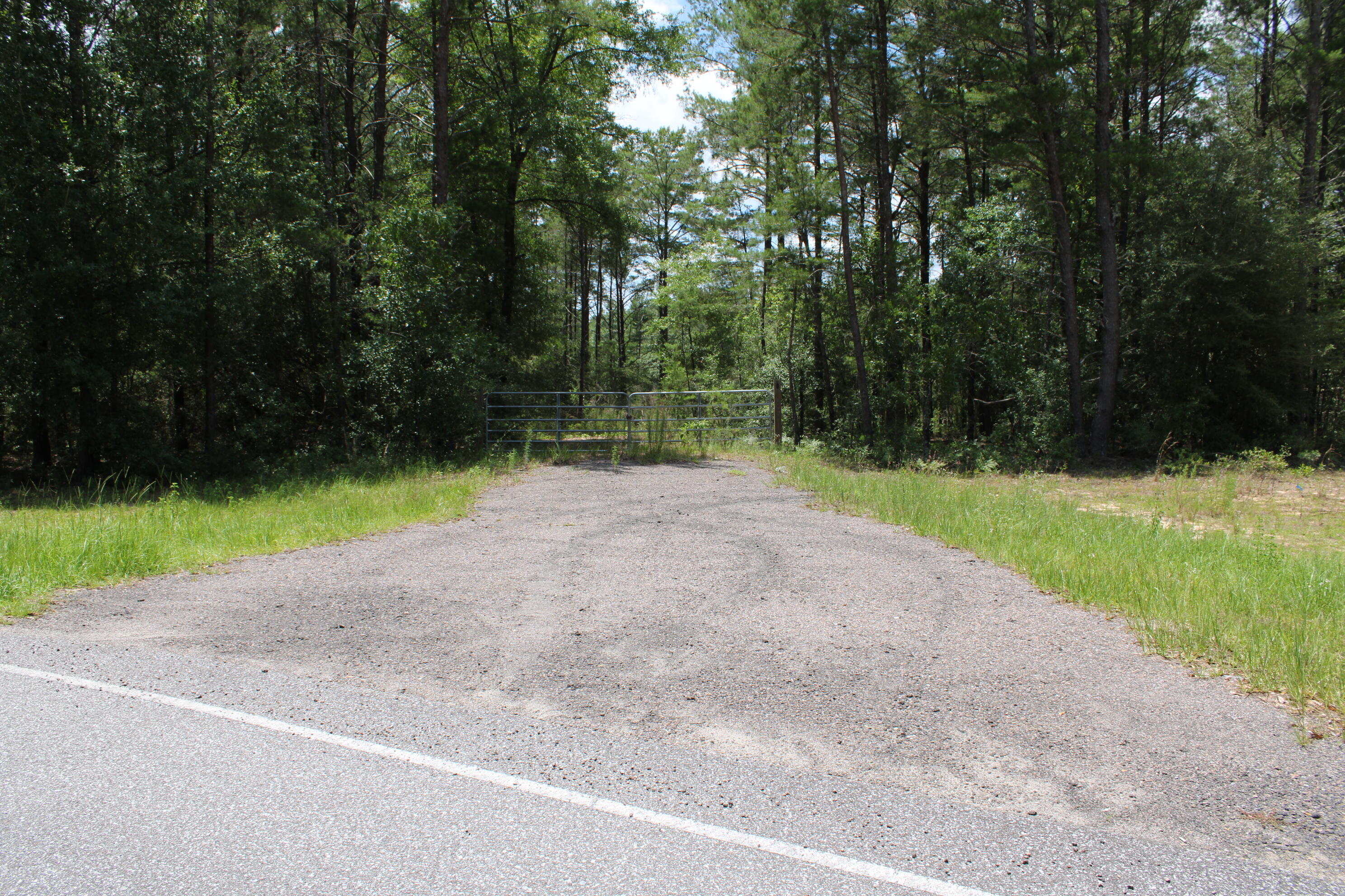 Elmwood Plantation - Land