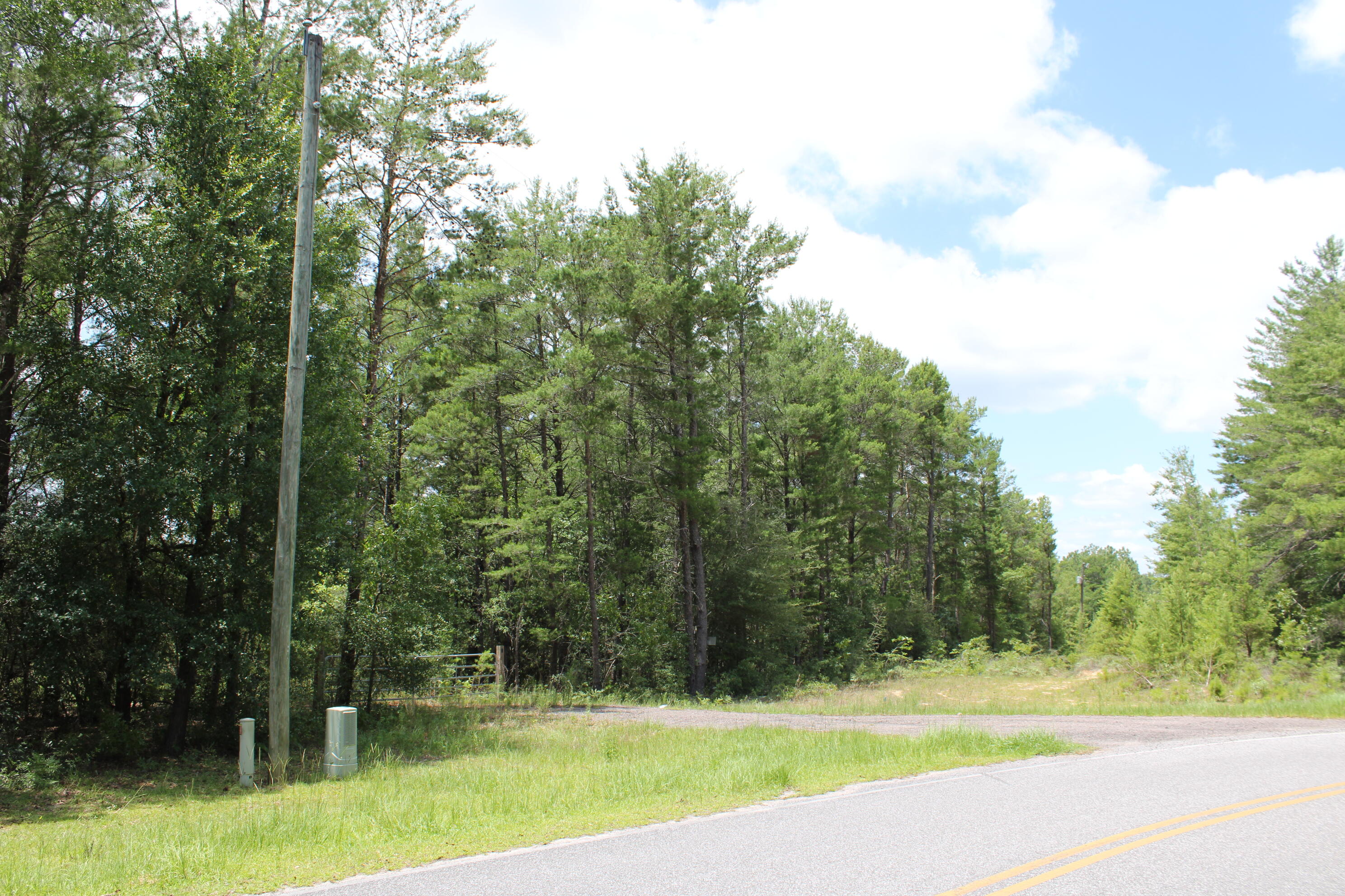 Elmwood Plantation - Land