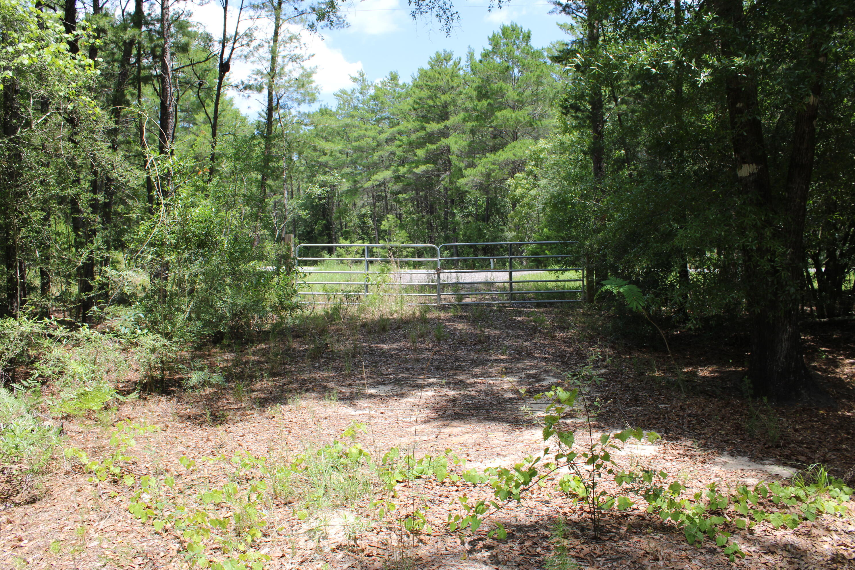 Elmwood Plantation - Land