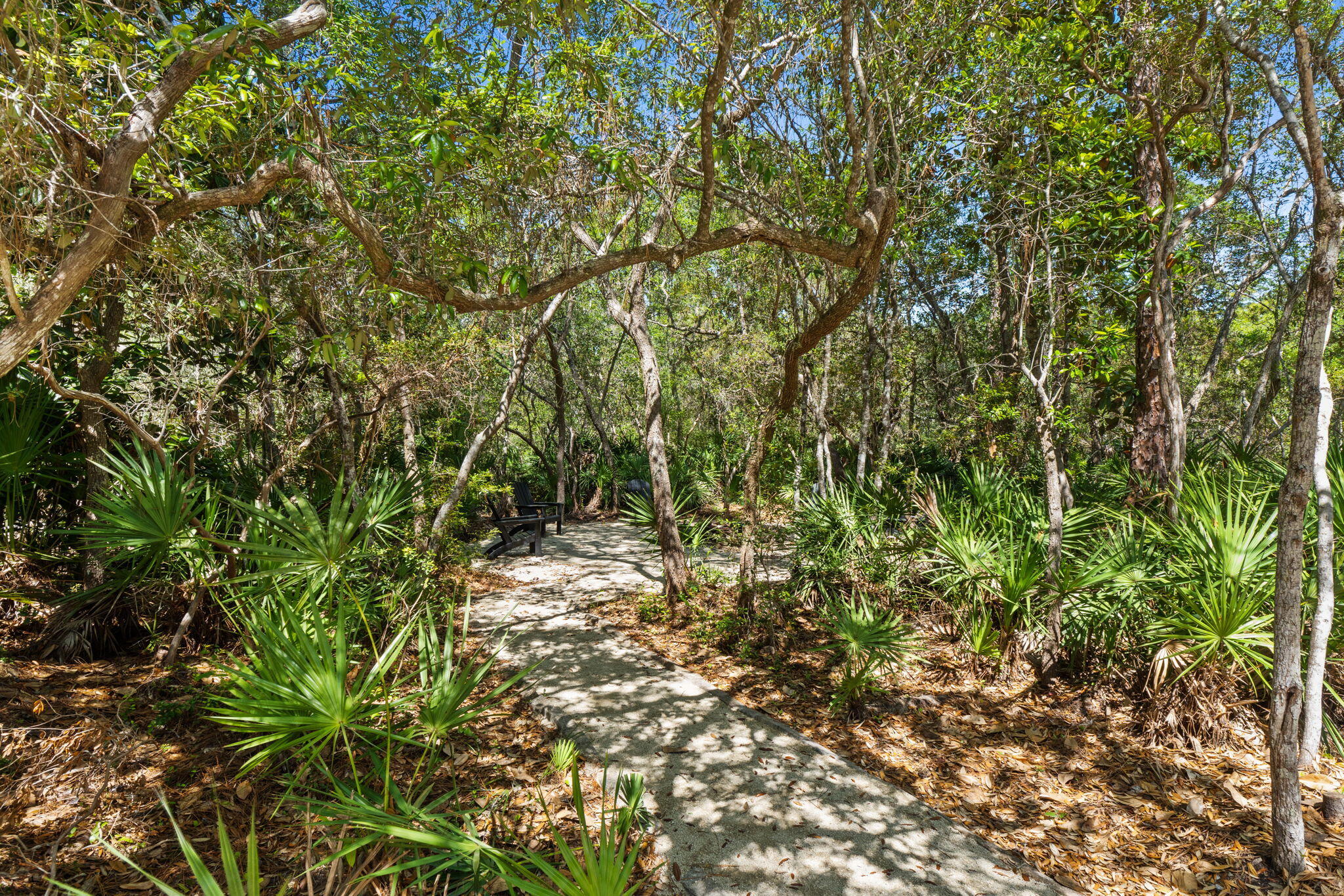 BAY MAGNOLIA - Residential