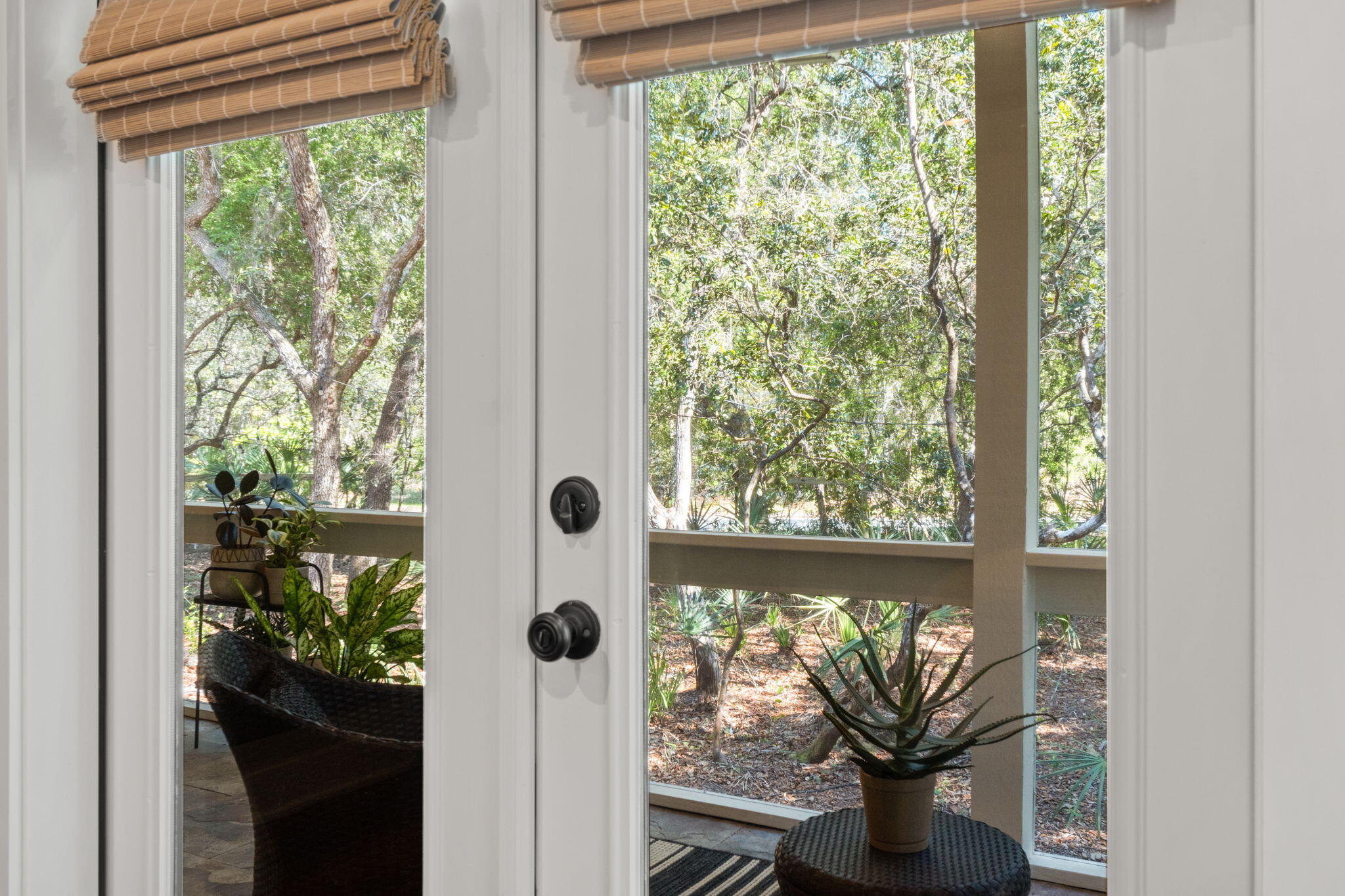BAY MAGNOLIA - Residential