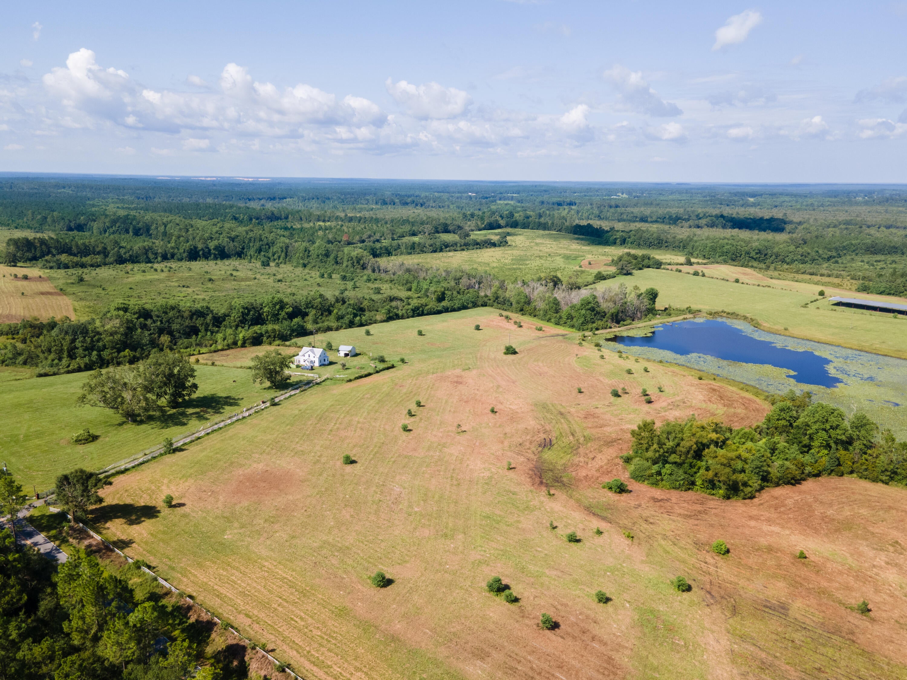 ## PARCEL 10 -- 10.07 AC -- $201,400

10.07 acres of AG-zoned land on Campbell Rd in Walton County. A raw parcel with a workable mix of wooded and cleared terrain, suited to a homesite, small farm, or recreational use. Electric service is available along the road;.  Minutes from downtown Defuniak Springs, close to Ponce de Leon Springs State Park for swimming and hiking, and about 45 minutes from the emerald waters and white sand beaches of South Walton.