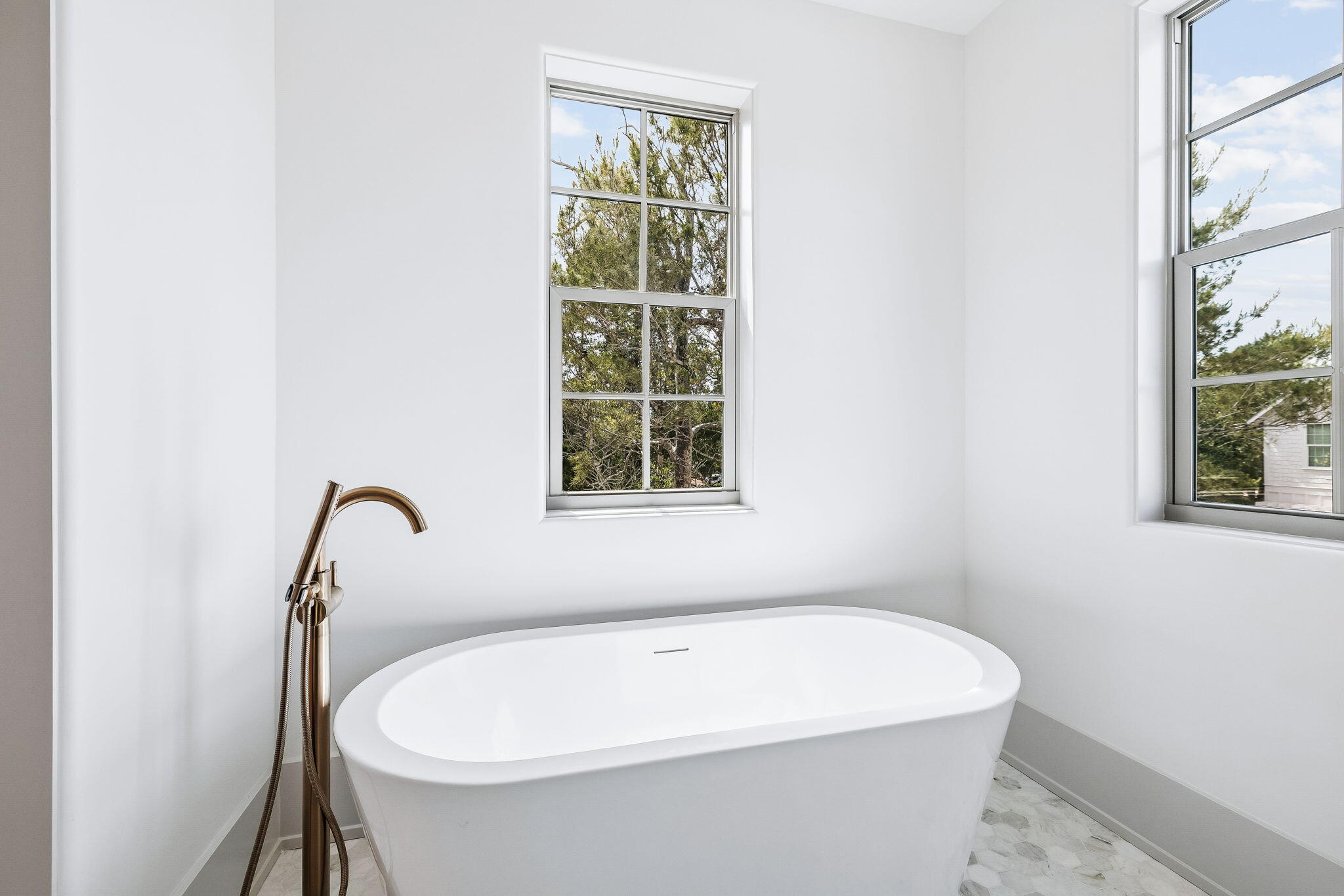 THE PRESERVE AT INLET BEACH - Residential