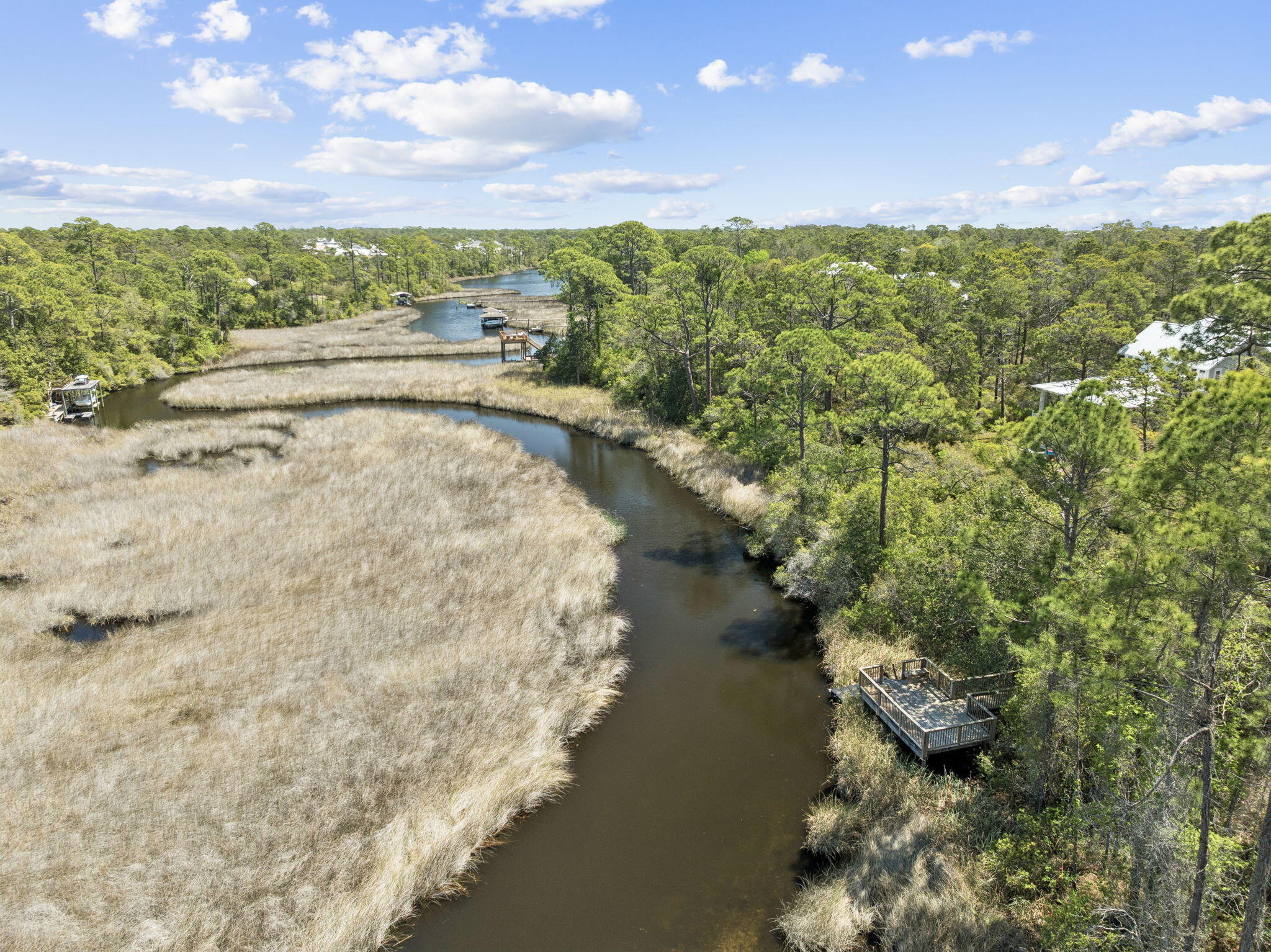 THE PRESERVE AT INLET BEACH - Residential