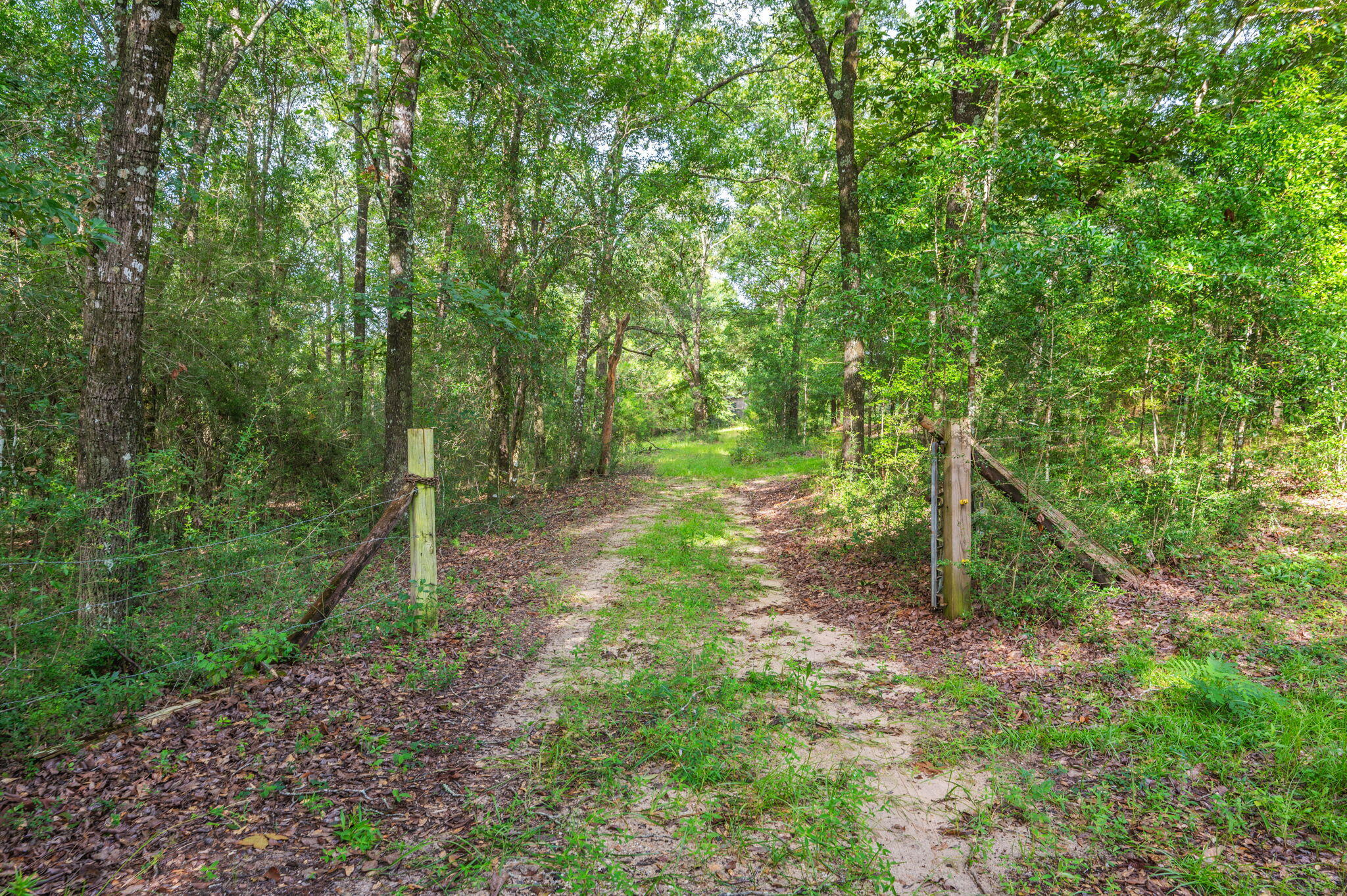 Poverty Creek & Docas - Residential