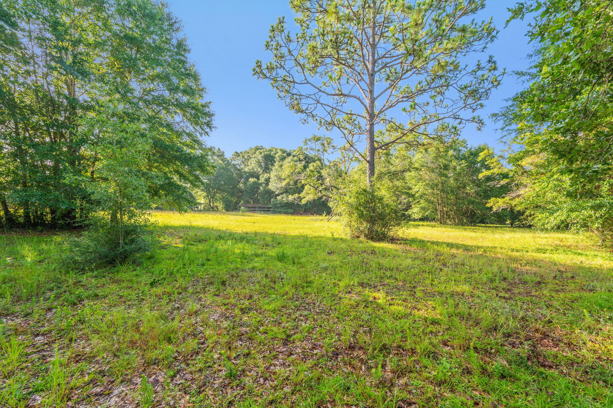 Poverty Creek & Docas - Residential