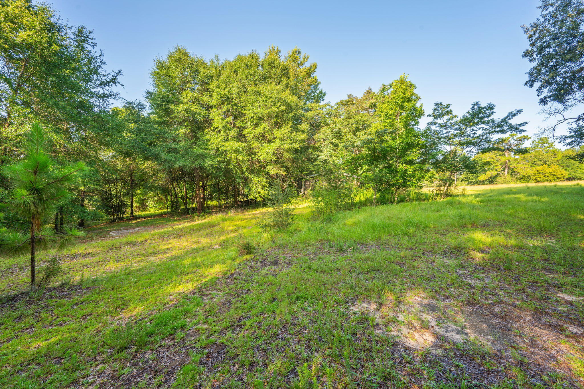 Poverty Creek & Docas - Residential