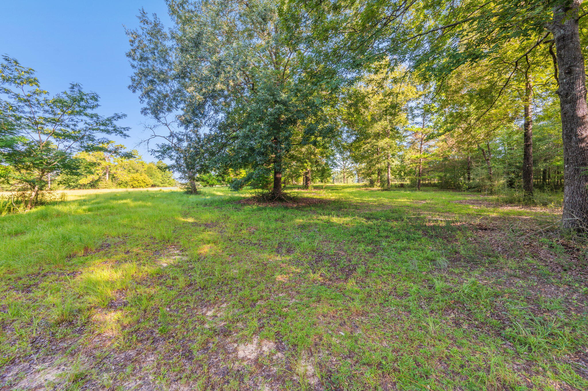 Poverty Creek & Docas - Residential