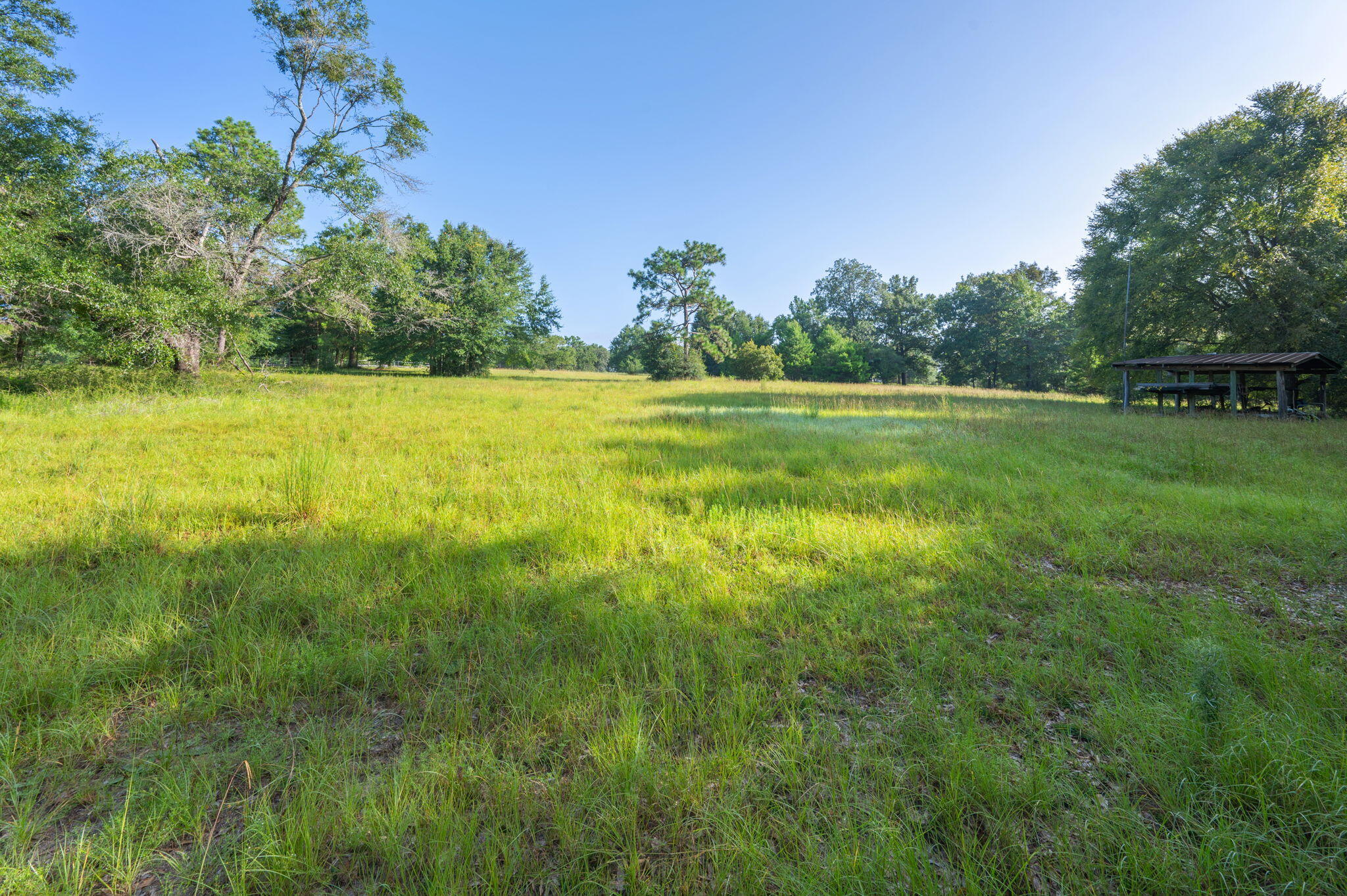 Poverty Creek & Docas - Residential