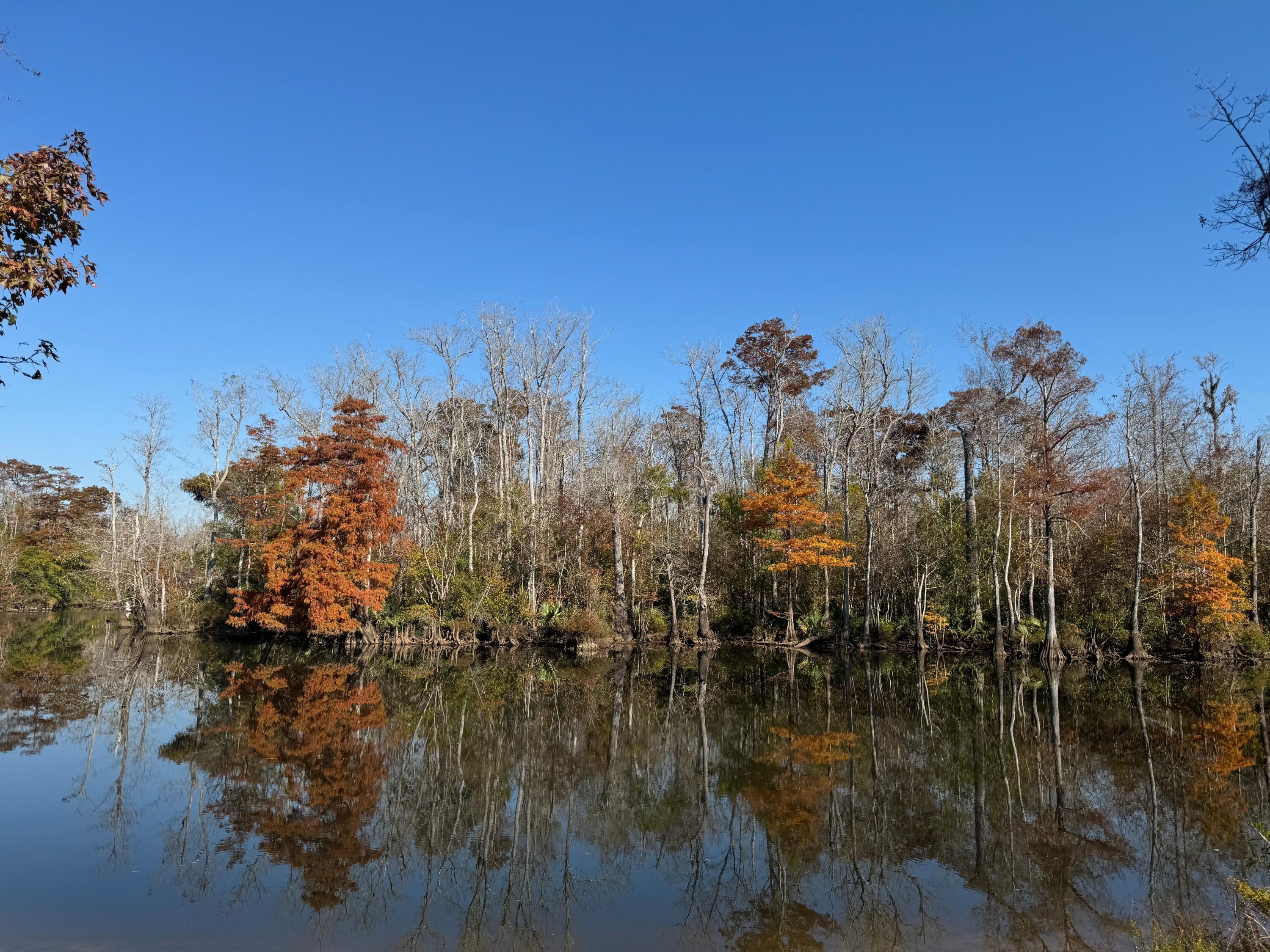 Becks Lake - Land