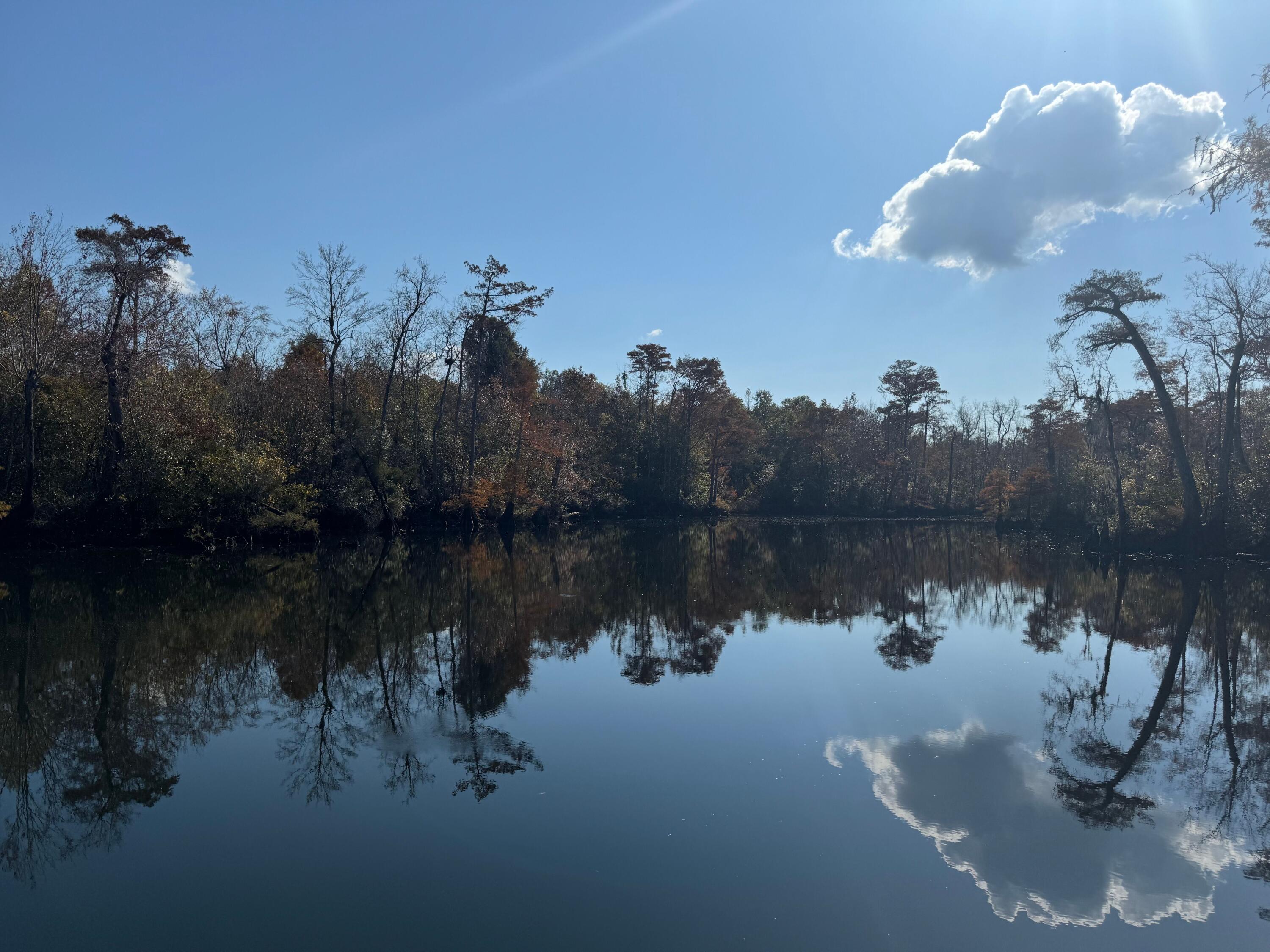 Becks Lake - Land