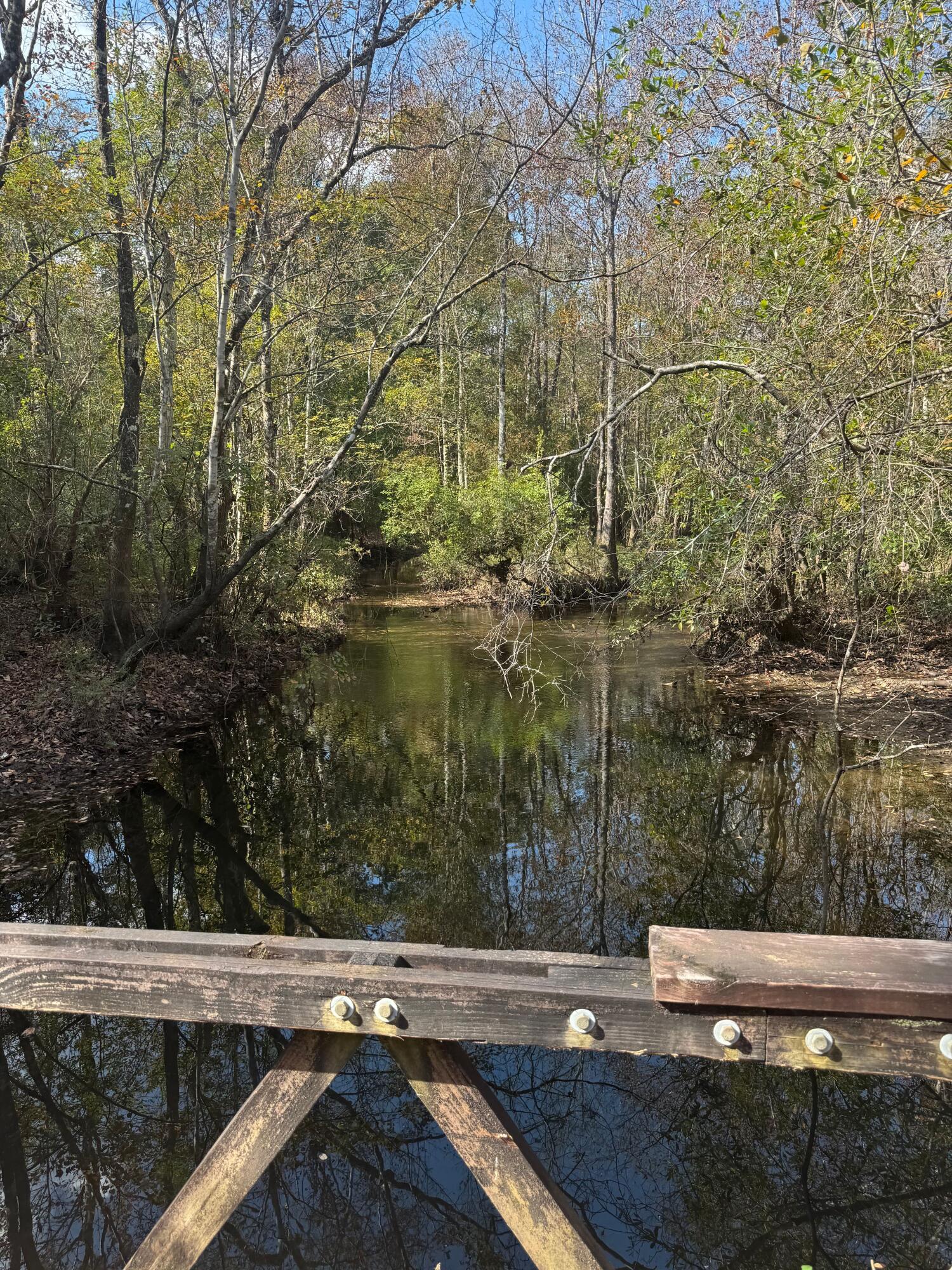 Becks Lake - Land