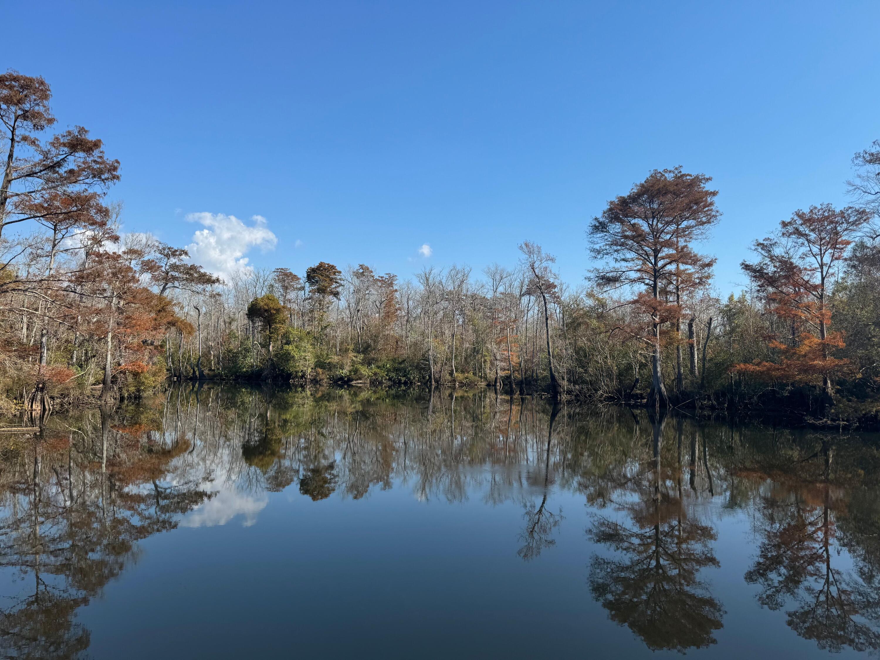 Becks Lake - Land