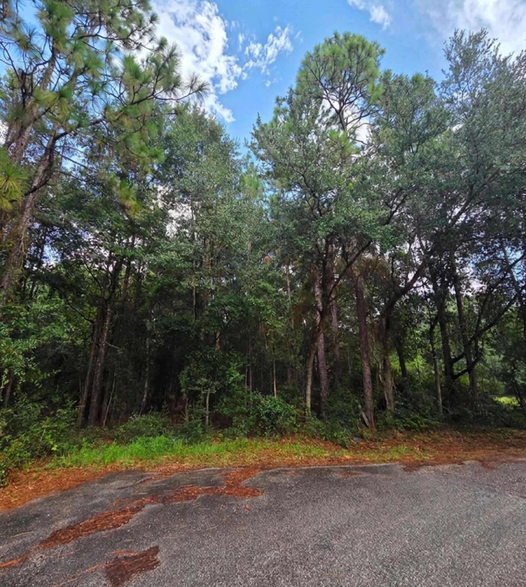 Beautiful 2.279-acre parcel with AG-RR zoning, offering a great opportunity for a mobile home or single-family dwelling. The property also provides excellent recreational potential and would make a great hunting property. The acreage may offer the possibility of being split, subject to applicable county requirements and approvals. An RV may be occupied temporarily while building a single-family dwelling, but permanent RV living is not permitted. Buyer should verify zoning, building, subdivision, RV-use, and other requirements with the appropriate county authorities. Whether you're looking to build your home, place a mobile home, enjoy the land for hunting and recreation, or explore future development potential, this property offers plenty of possibilities. Motivated seller has survey and is willing to split.  According to County GIS map not wetlands or hydric soils . In x flood zone so no flood insurance required . septic is needed This listing is for both pieces . Can buy separately