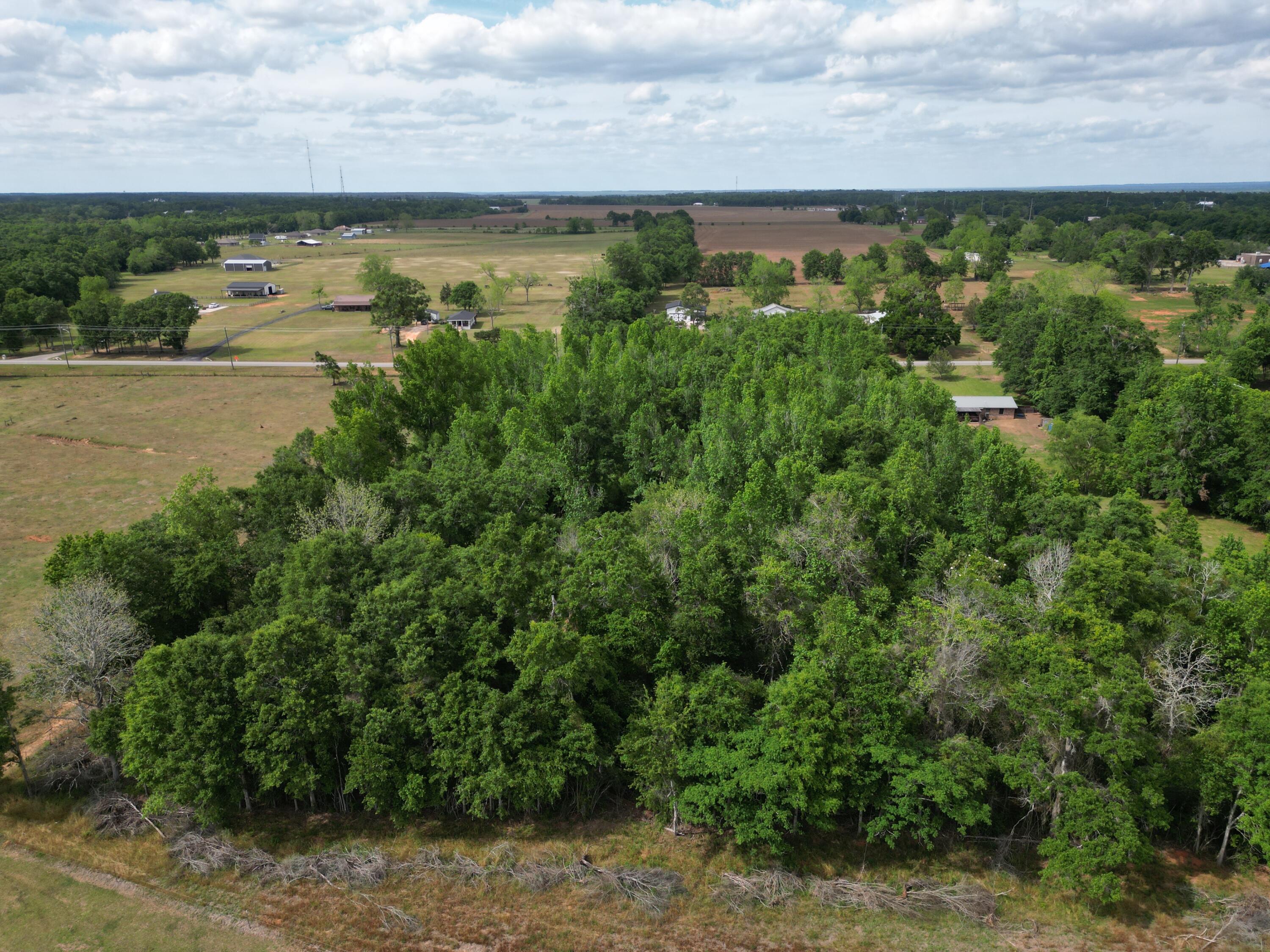 This is an opportunity to acquire 2.48 acres of vacant land in Molino, Florida, zoned RMU and primed for development. THE OTHER 2.48 ACRES / PARCEL A HAS BEEN SOLD.  Whether you're a builder, investor, or end-user, this parcel delivers exceptional flexibility and value.
The seller has done the heavy lifting: a complete document package conveys with the sale, including a wetland study, soil and septic analysis confirming favorable conditions for a subsurface septic system, a survey of the full 4.8992-acre parcel, and a proposed 2-lot split survey.  The groundwork is laid; you're stepping in at the finish line.
Currently configured at 330 x 665 feet, the property is positioned to divide into two buildable 165 x 655-foot lots -- each offering generous dimensions ideal for custom home construction.
 Septic needed . Seller has wetland study, soil septic analysis which shows soil is favorable for subsurface septic system, a survey for the entire 4.8992 acres and a survey for a proposed 2 lot split. THIS IS PARCEL B . see survey