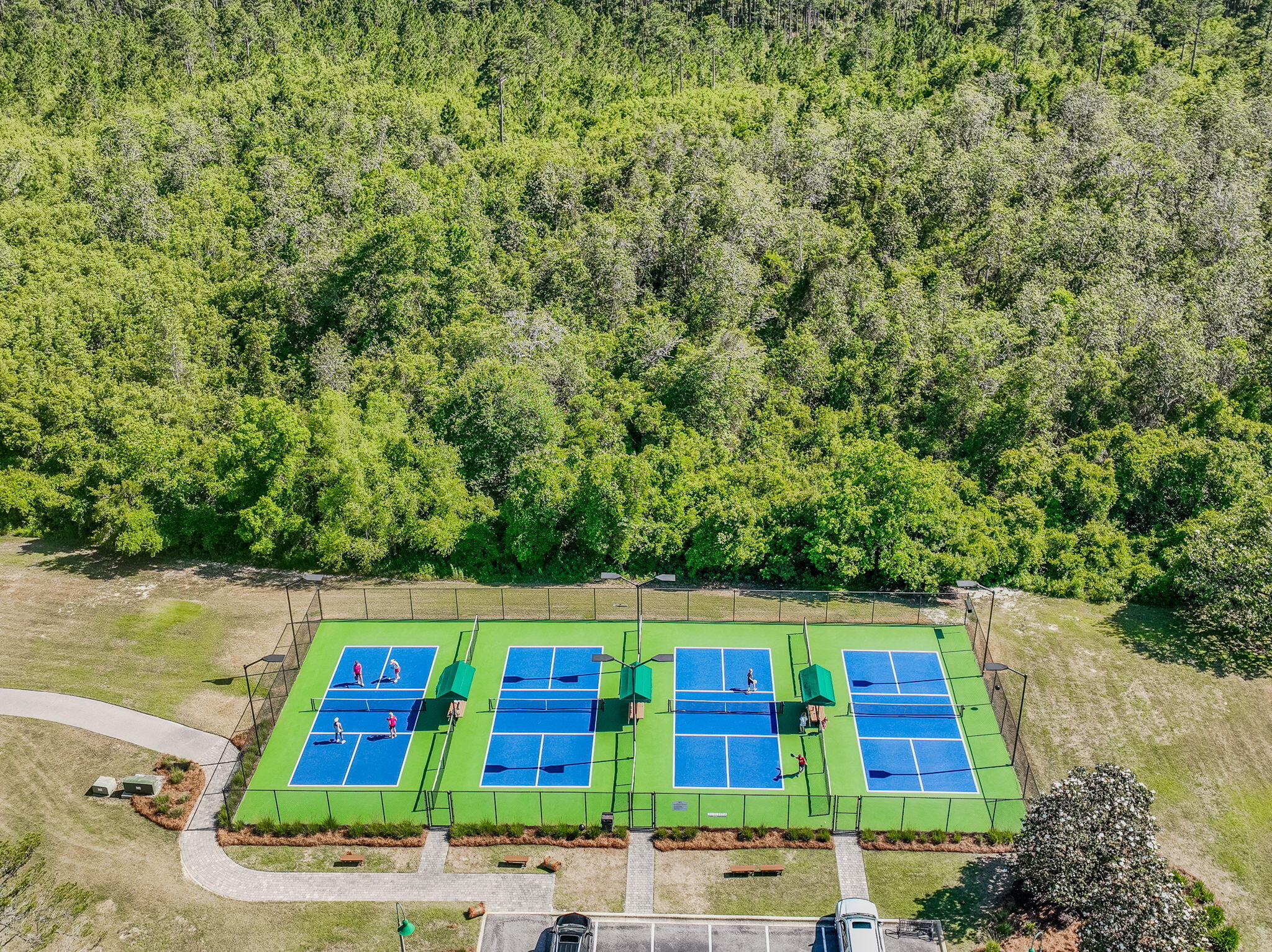 HAMMOCK BAY - STARBURST - Residential