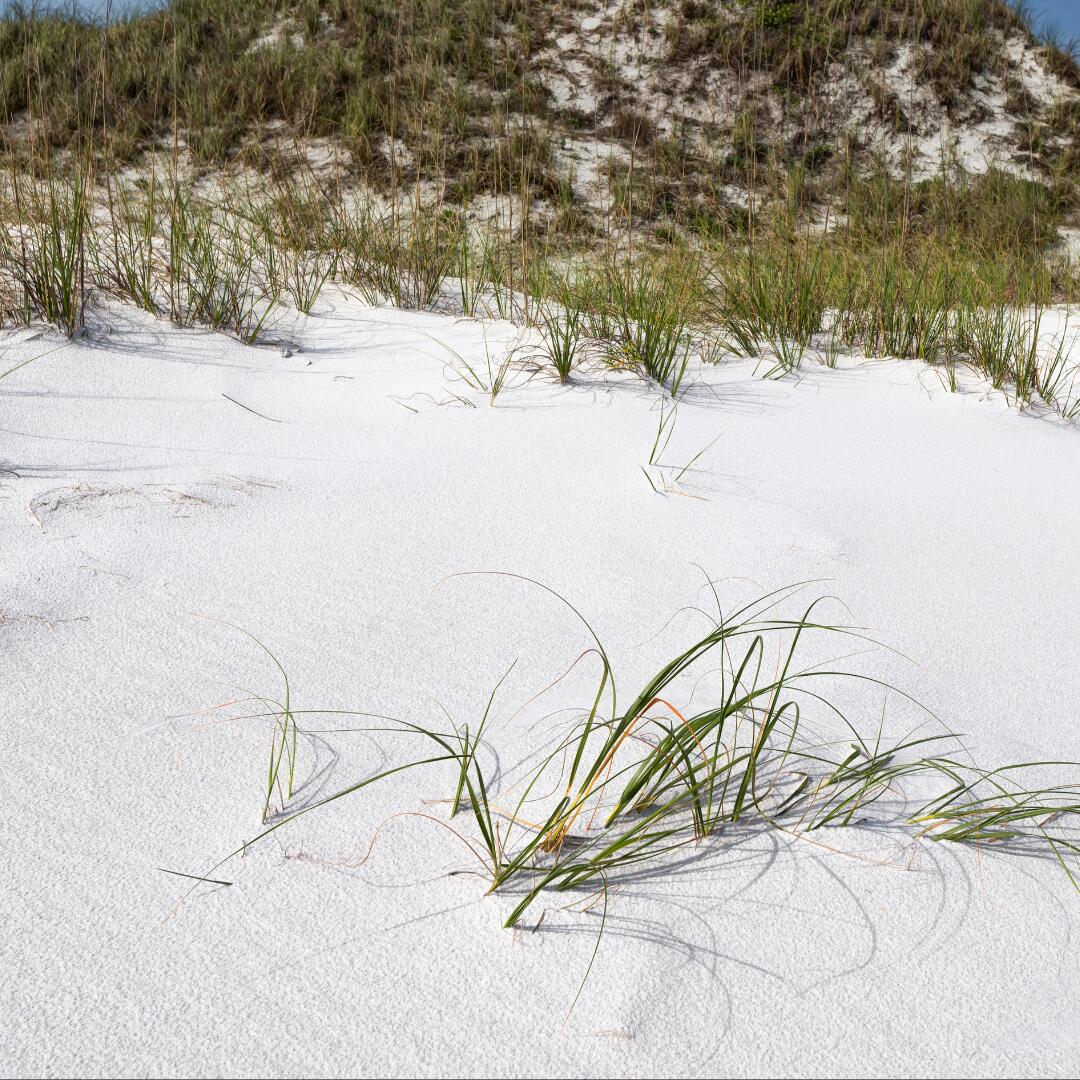 SANTA ROSA ISLAND - Land