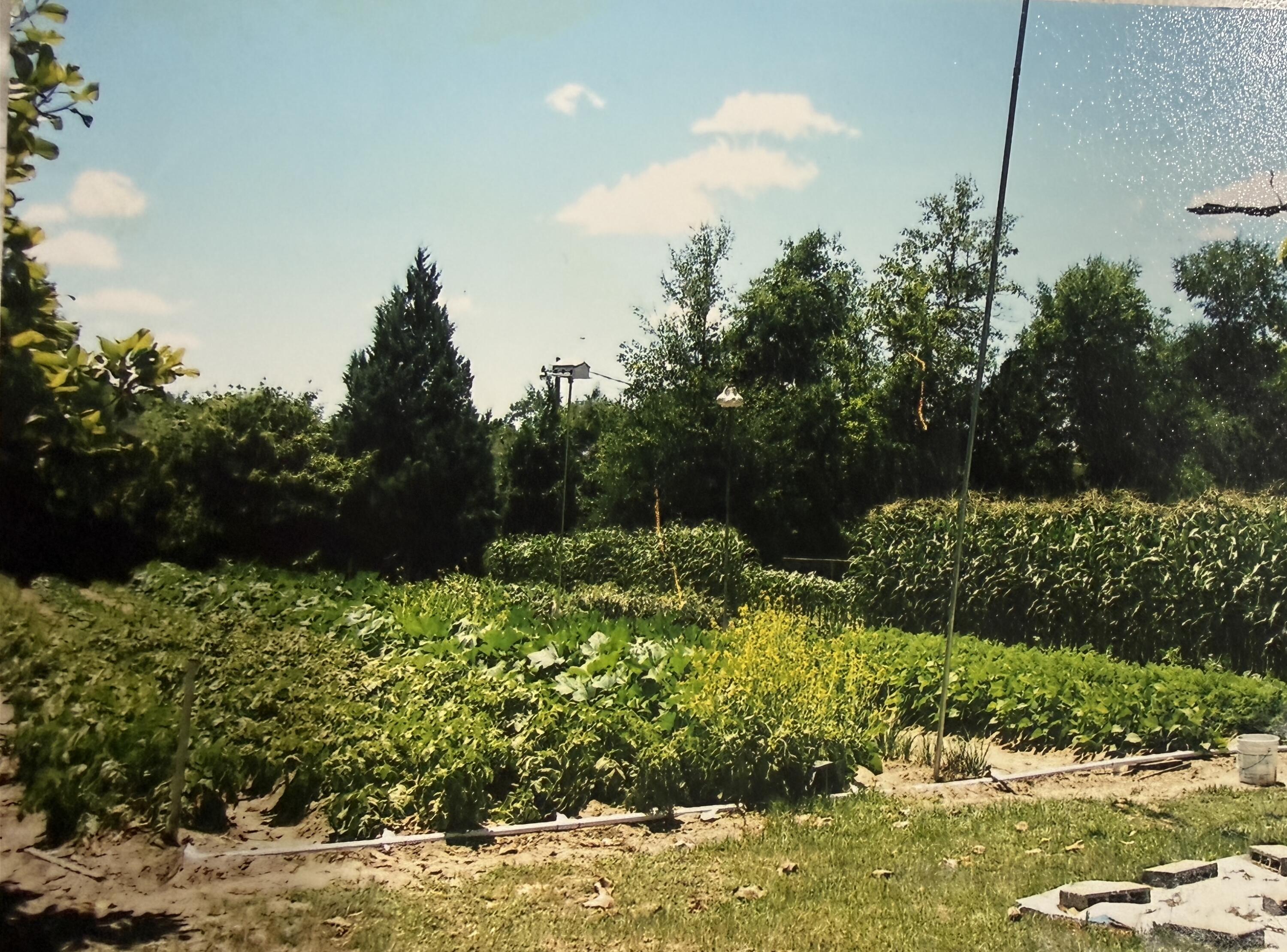FERDON ADDN TO CRESTVIEW - Residential