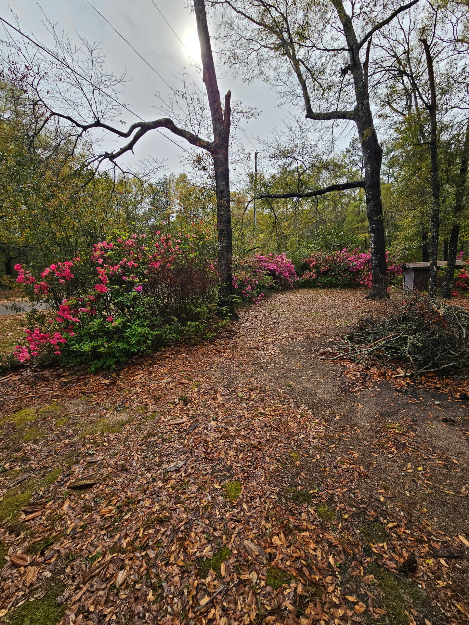 ENCHANTED ESTATES - Residential