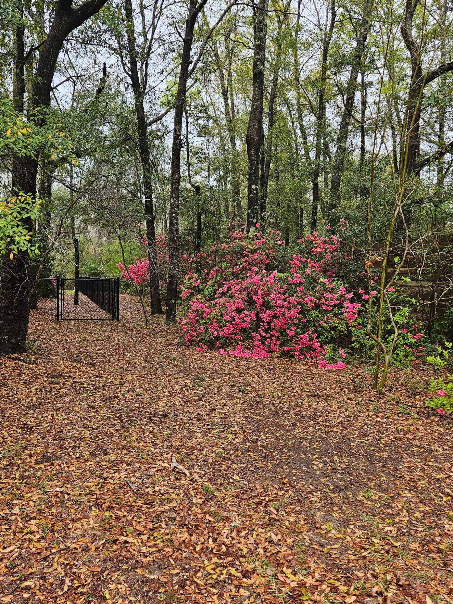 ENCHANTED ESTATES - Residential