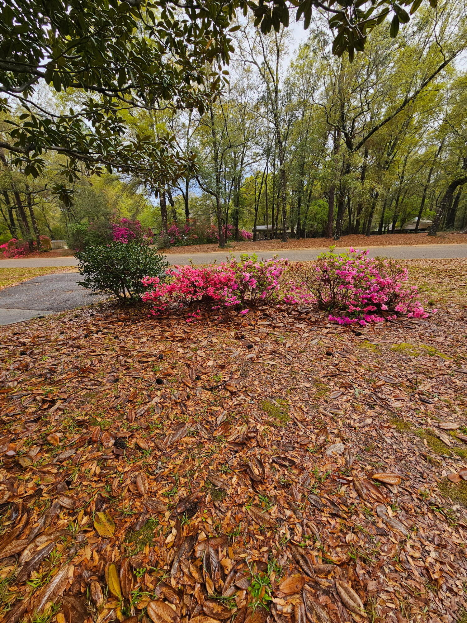 ENCHANTED ESTATES - Residential