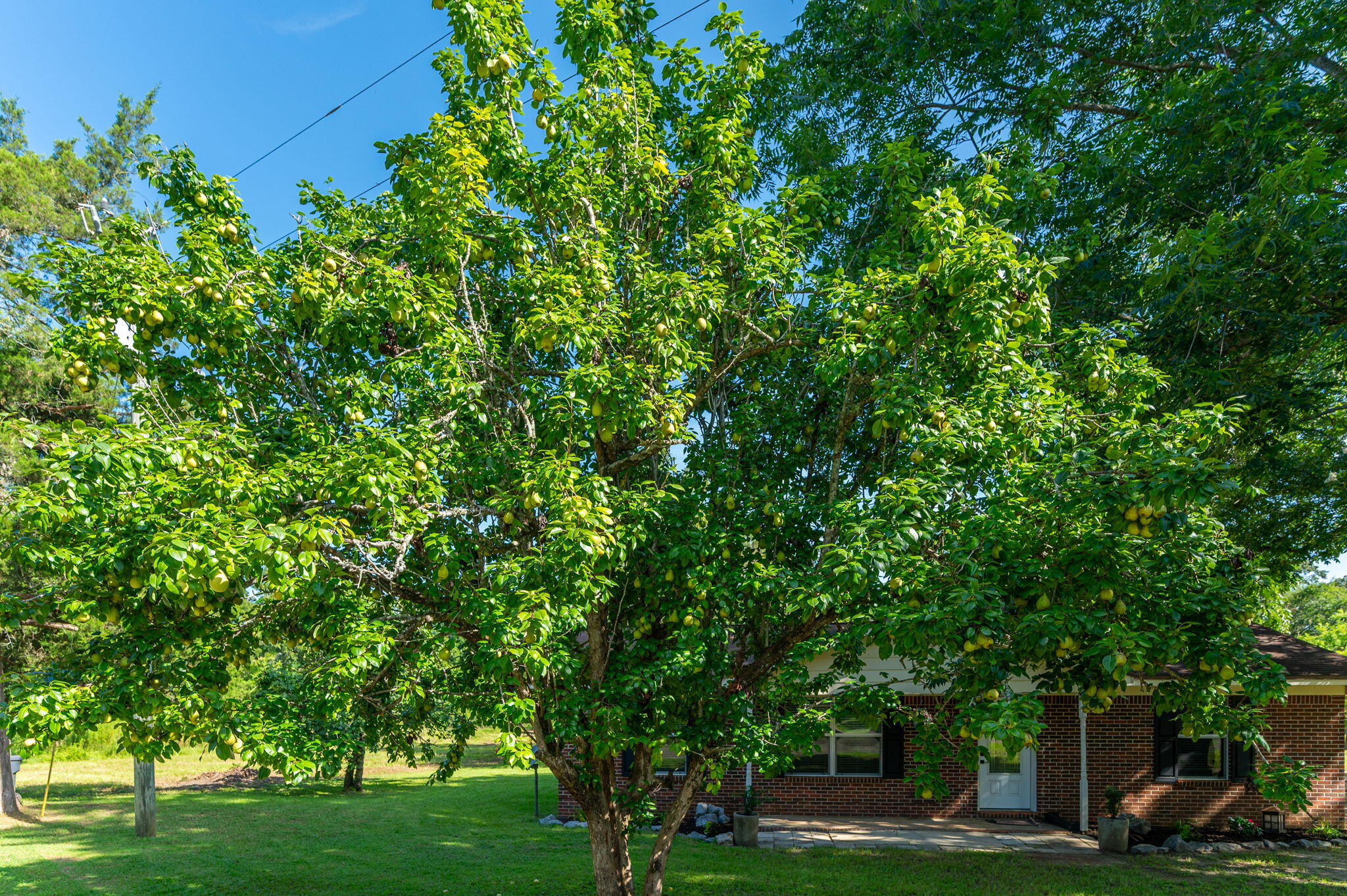 MURPHY D E ADDN GLENDALE - Residential