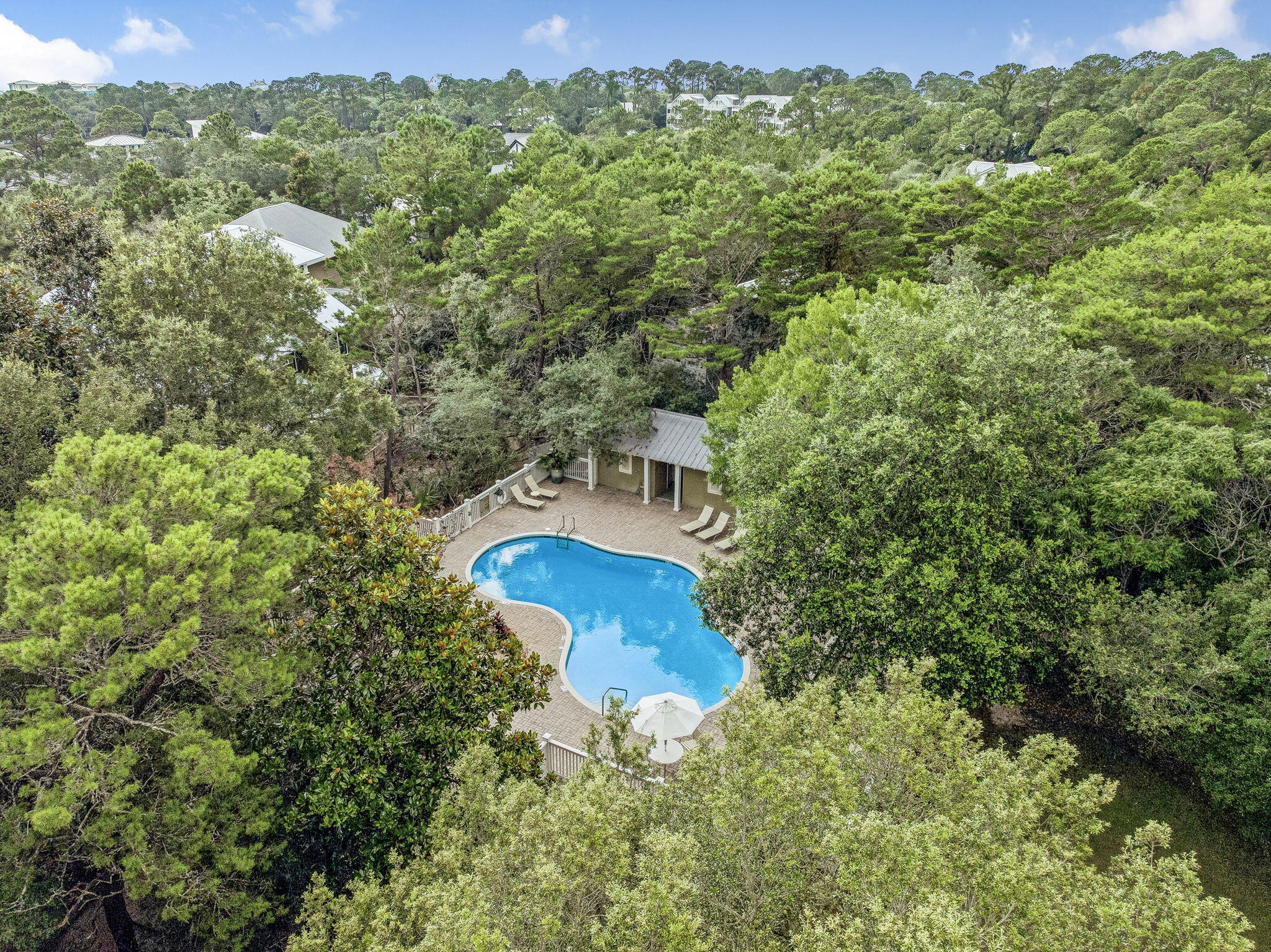 LAKE PLACE AT GRAYTON BEACH T/H - Residential