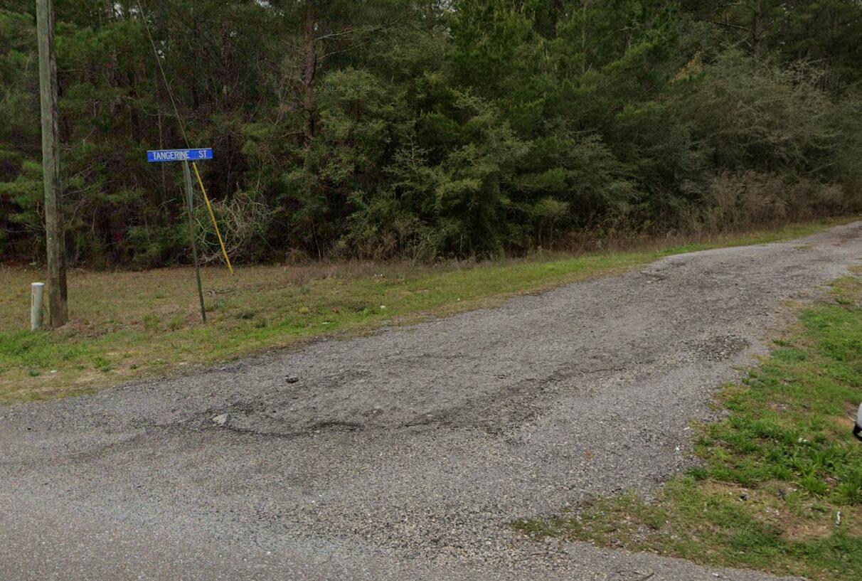 Wooded lot 100 X 120~ Up and coming area in North Walton County~ Rural Residential~ 1  No restrictions, No HOA~ No access~