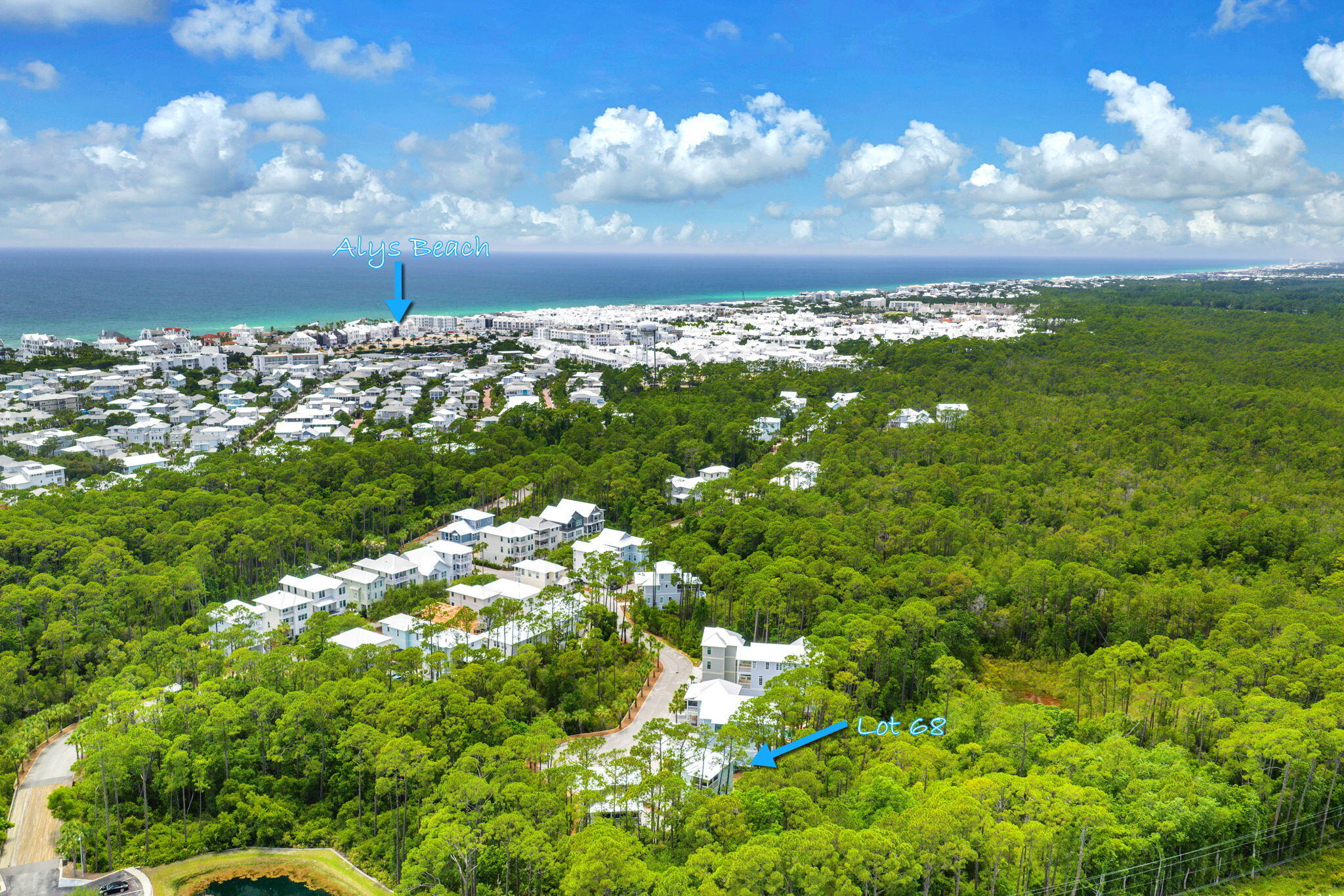 TREETOP - Land