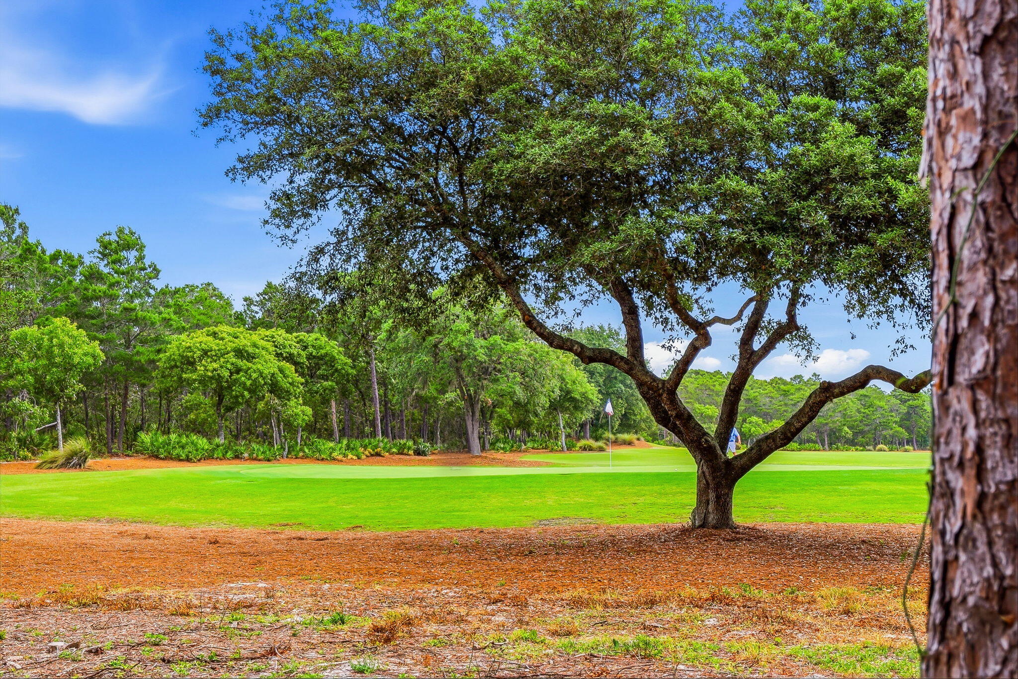 WILD HERON - CLUBSIDE - Residential
