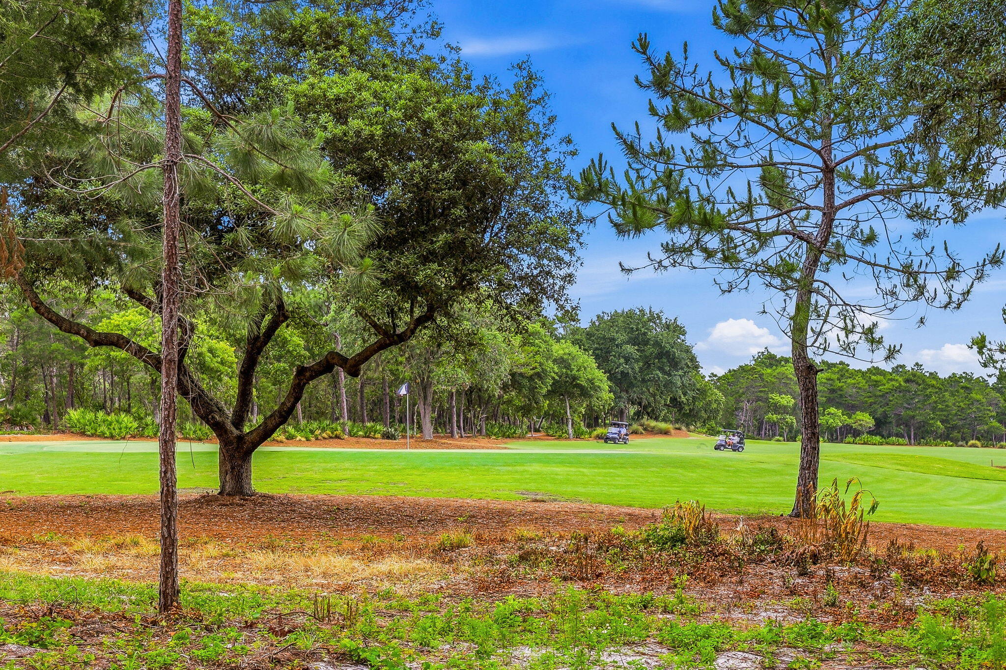 WILD HERON - CLUBSIDE - Residential