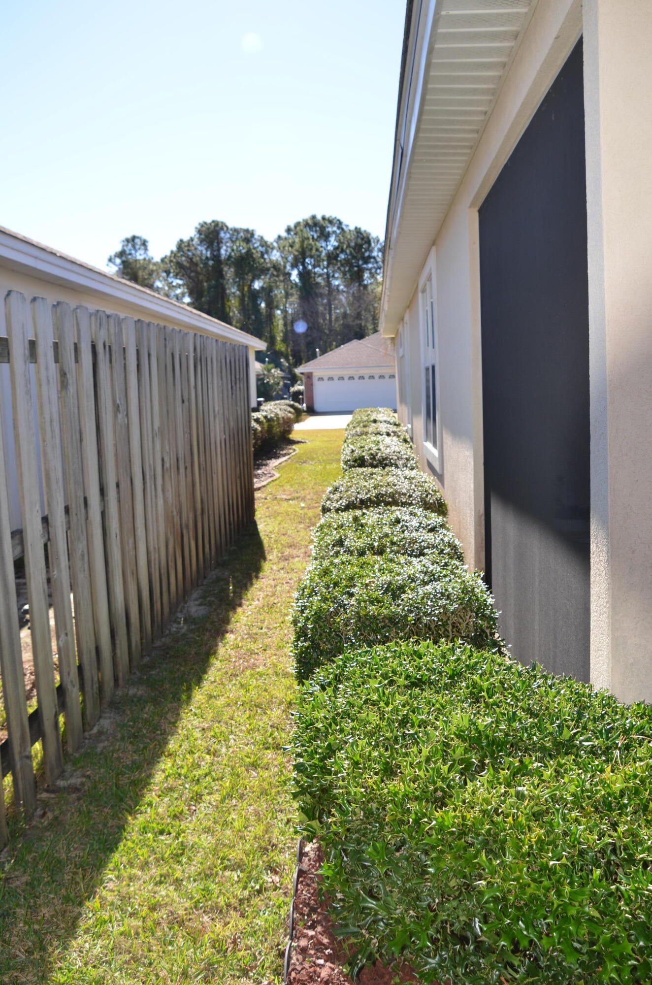 TREETOPS AT BAYSIDE - Residential