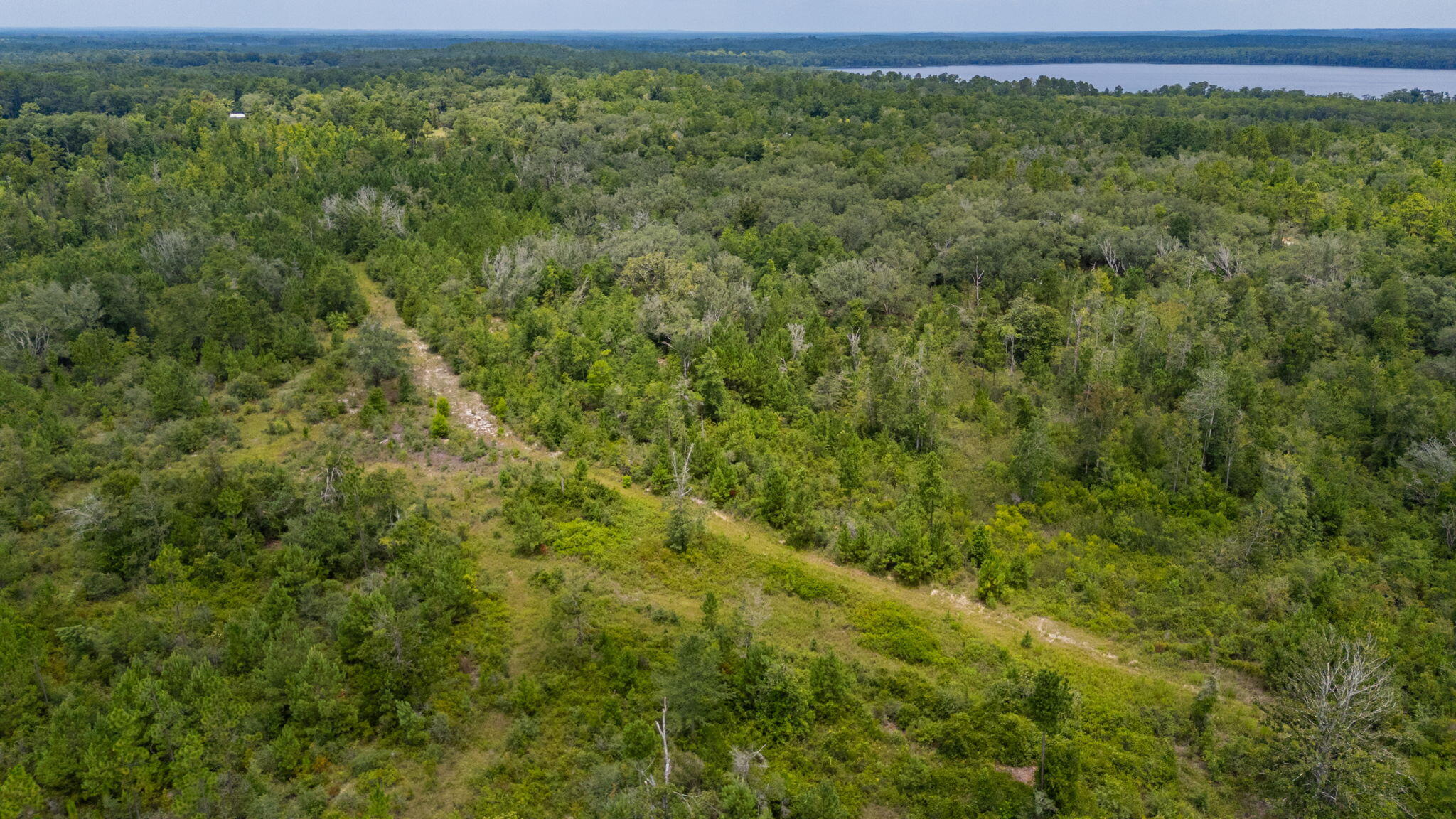 This beautiful 100±/- acre tract just north of Panama City is the kind of place where you can slow down, spread out, and enjoy country living without giving up the convenience of town or the Gulf Coast beaches less than an hour away. Large live oaks, a peaceful creek and stream, rolling woods, and abundant wildlife make this property a true outdoorsman's dream. Whether you're looking for a place to build your forever home, create a family homestead, run cattle or horses, start a small farm, or enjoy some of the best hunting around, this land is ready for your vision. With both highway and county road frontage, you'll have easy access while still enjoying the privacy of a large tract. Mobile homes are allowed or imagine a beautiful homesite tucked beneath the oaks. If you've been looking for room to roam, a place to make memories, and a little slice of the good life, this is it. Come walk the land and see why properties like this don't come around often. Property now includes approximately 280 FT of paved road frontage on Pates Pond Road and 1870 frontage on Union Hill Road.