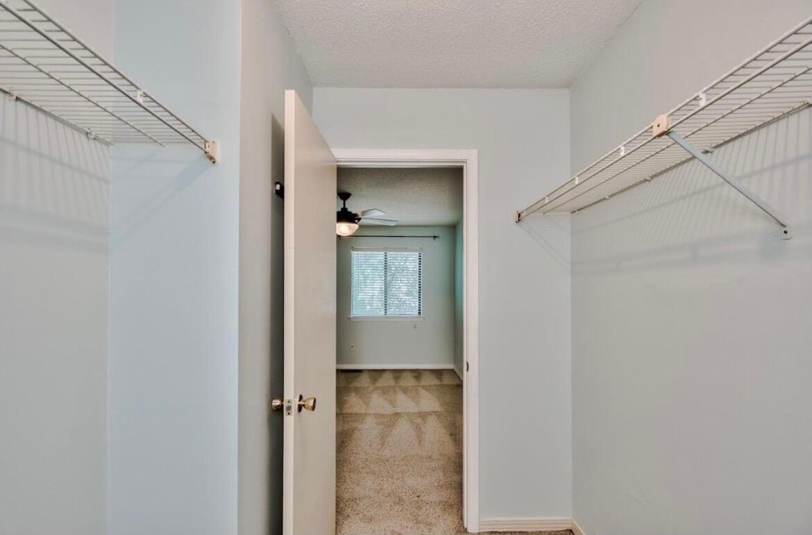 PINE RIDGE TRACE RE/SUB - Residential