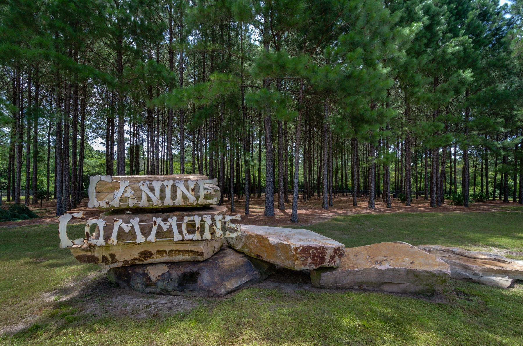 HAMMOCK BAY - STARBURST - Residential
