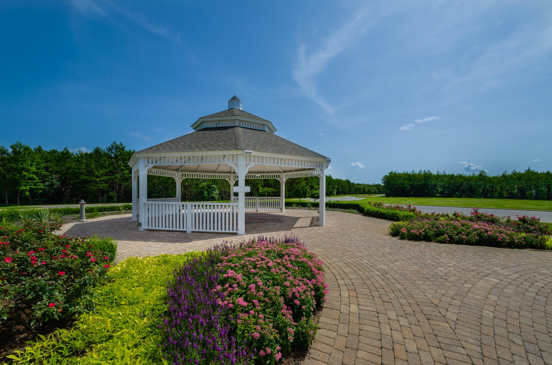HAMMOCK BAY - STARBURST - Residential