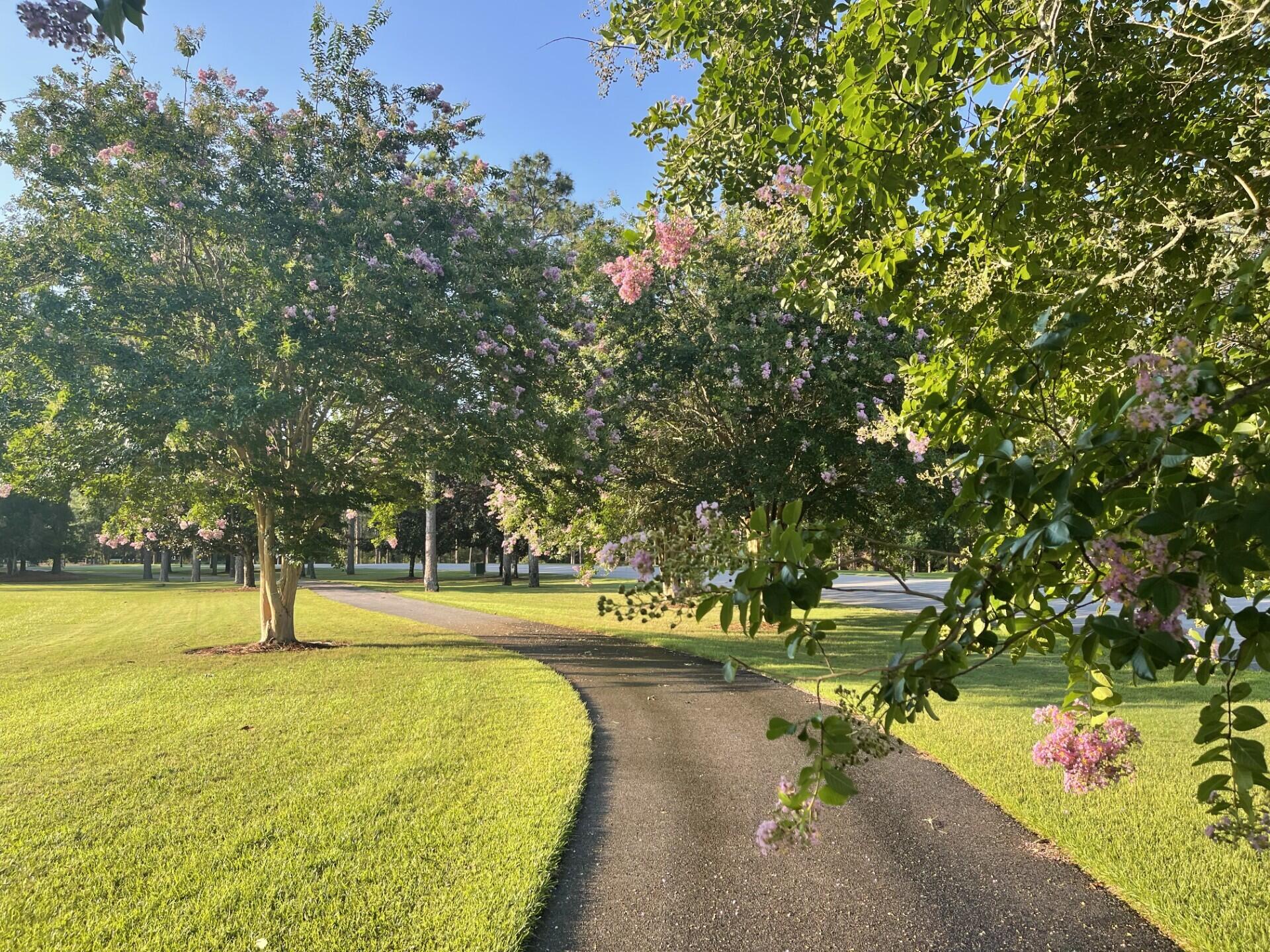 HAMMOCK BAY - STARBURST - Residential