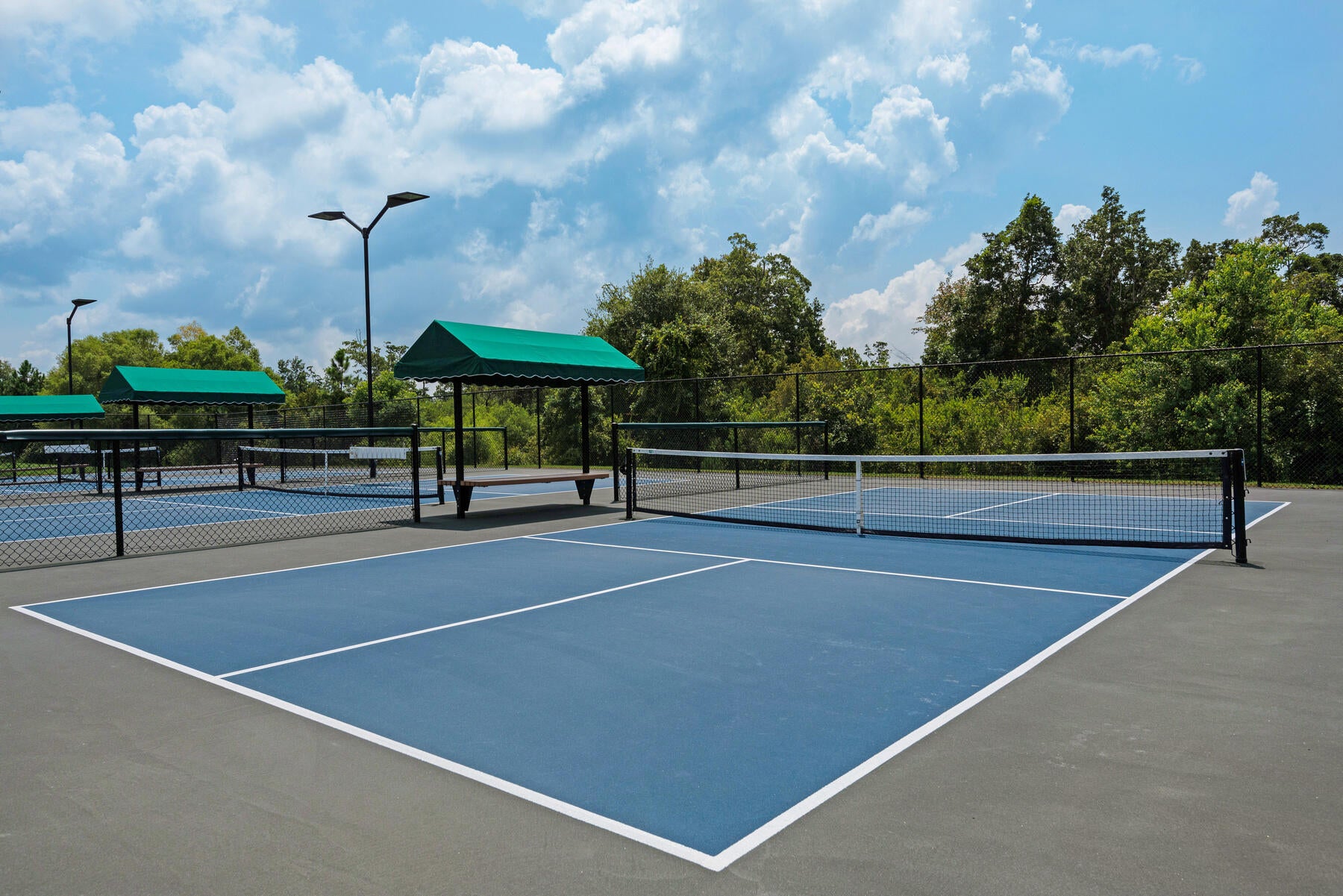 HAMMOCK BAY - STARBURST - Residential