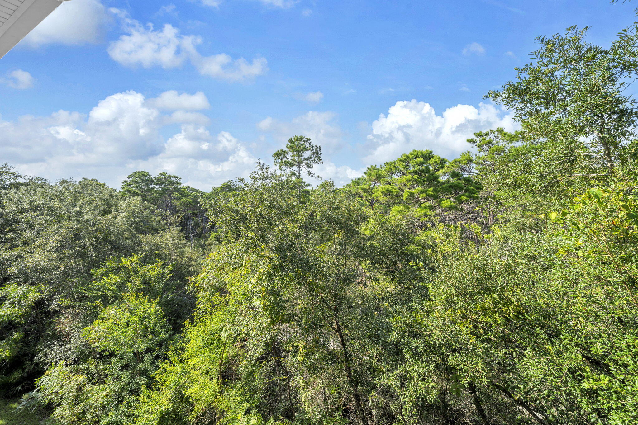 HERONS WATCH CONDO - Residential