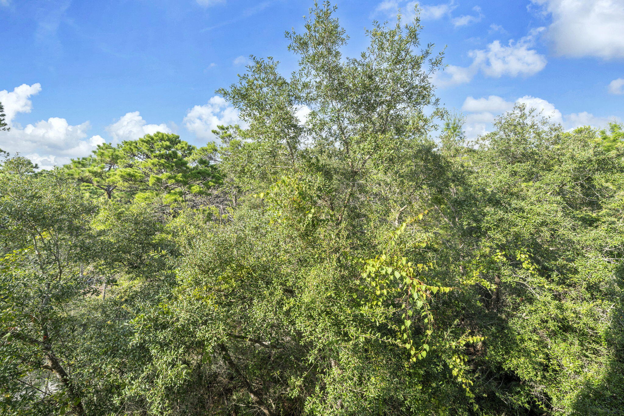 HERONS WATCH CONDO - Residential