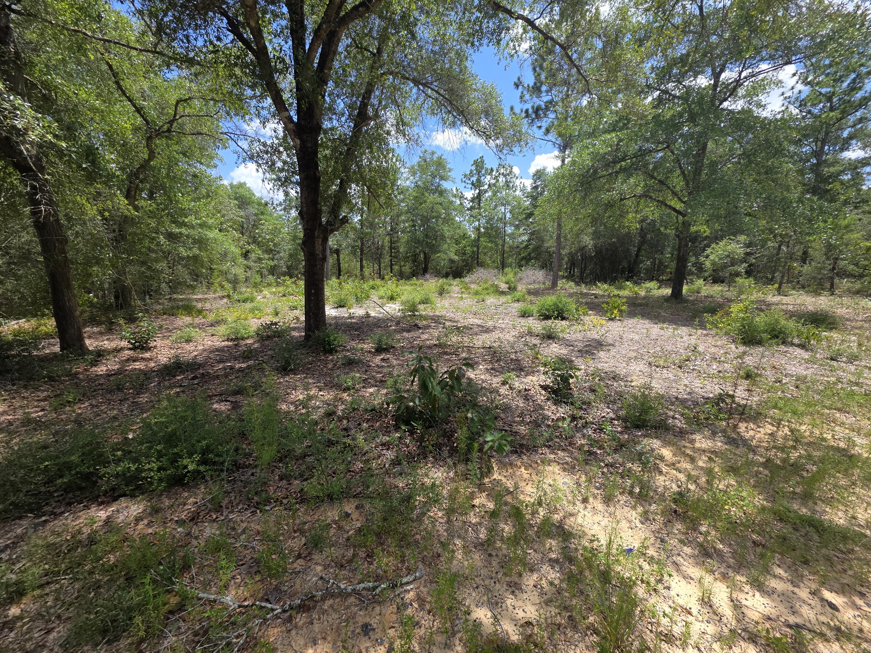 OAKWOOD HILLS UNIT 1 - Land