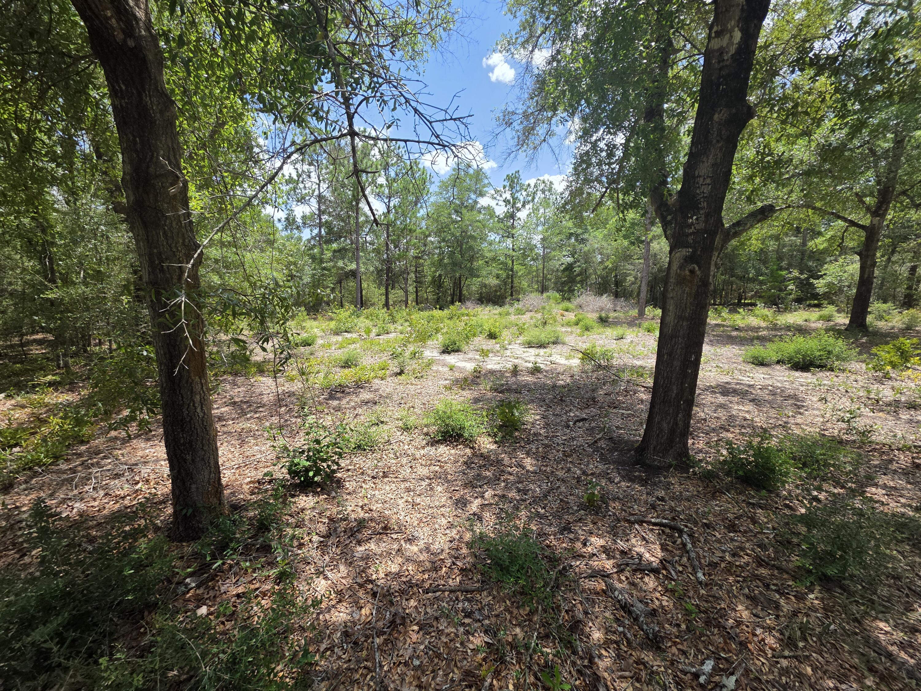 OAKWOOD HILLS UNIT 1 - Land