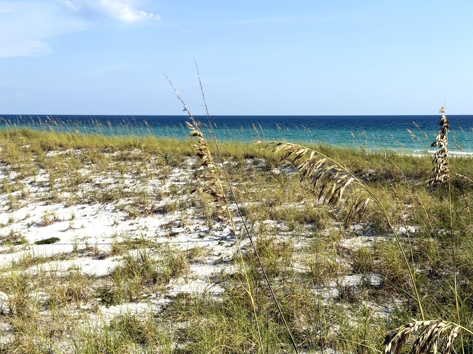 DOLPHIN POINT CONDO - Residential