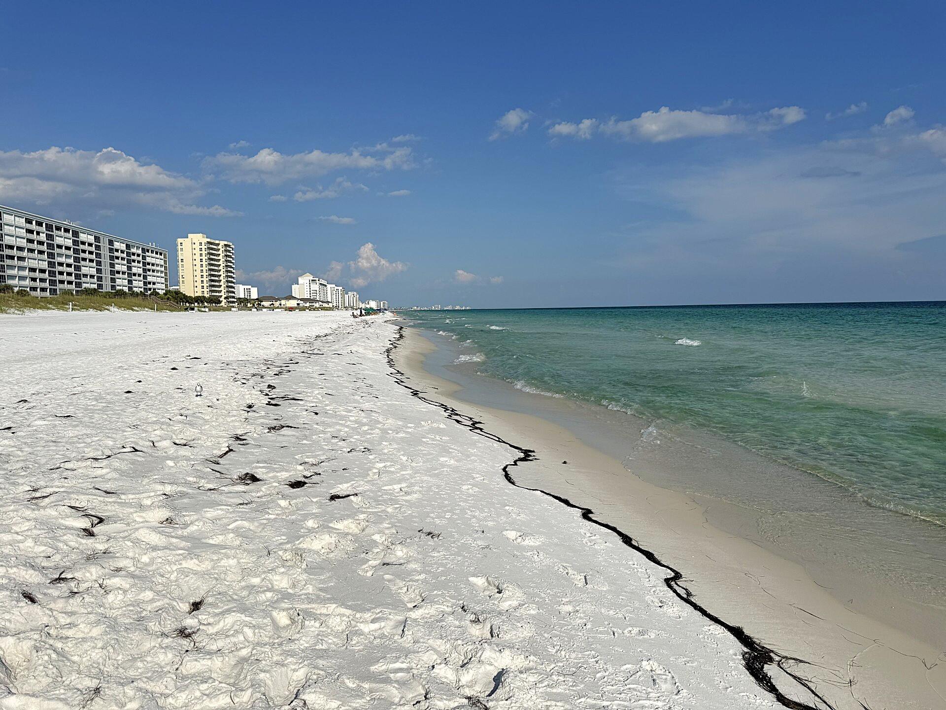 DOLPHIN POINT CONDO - Residential