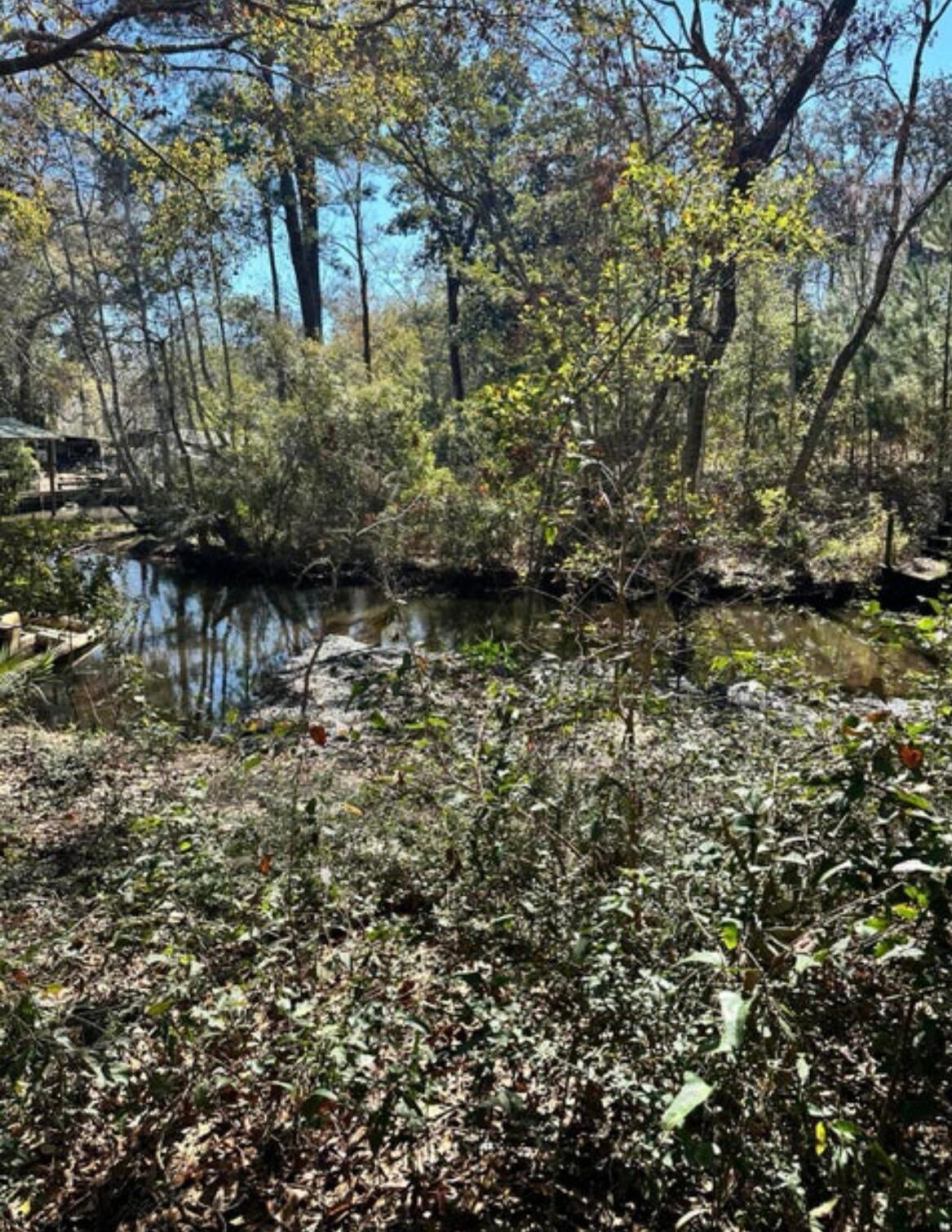 MAGNOLIA BAY - Land