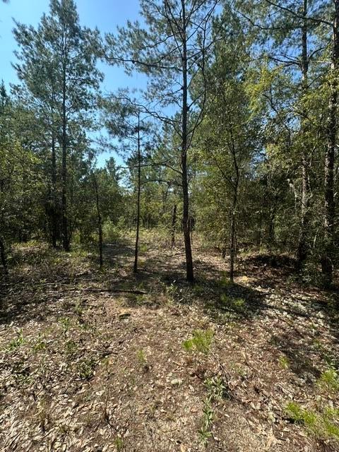 OAKWOOD HILLS UNIT 3 - Land