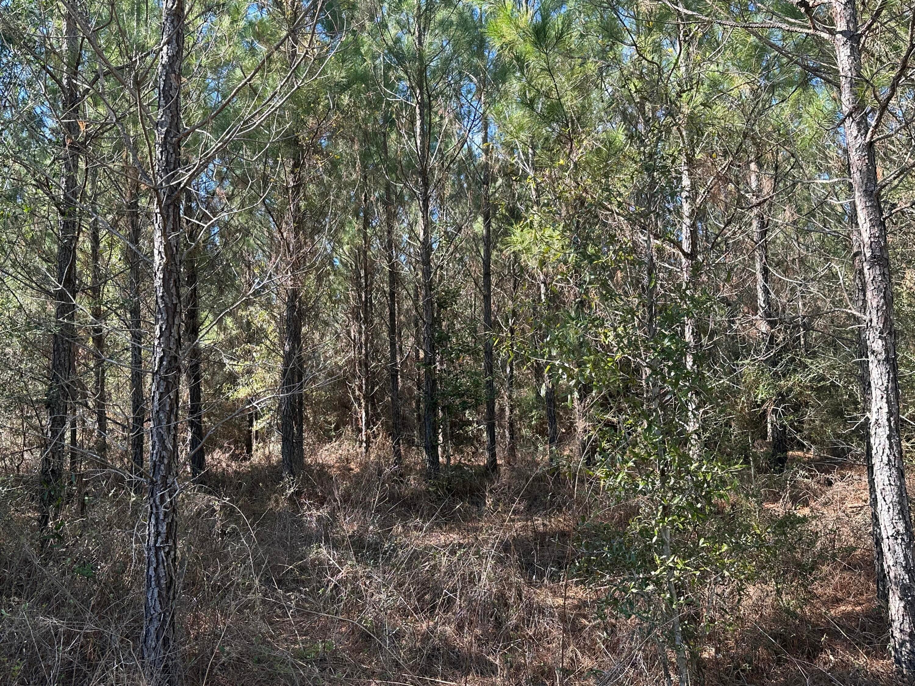 NO RECORDED SUBDIVISION - Land