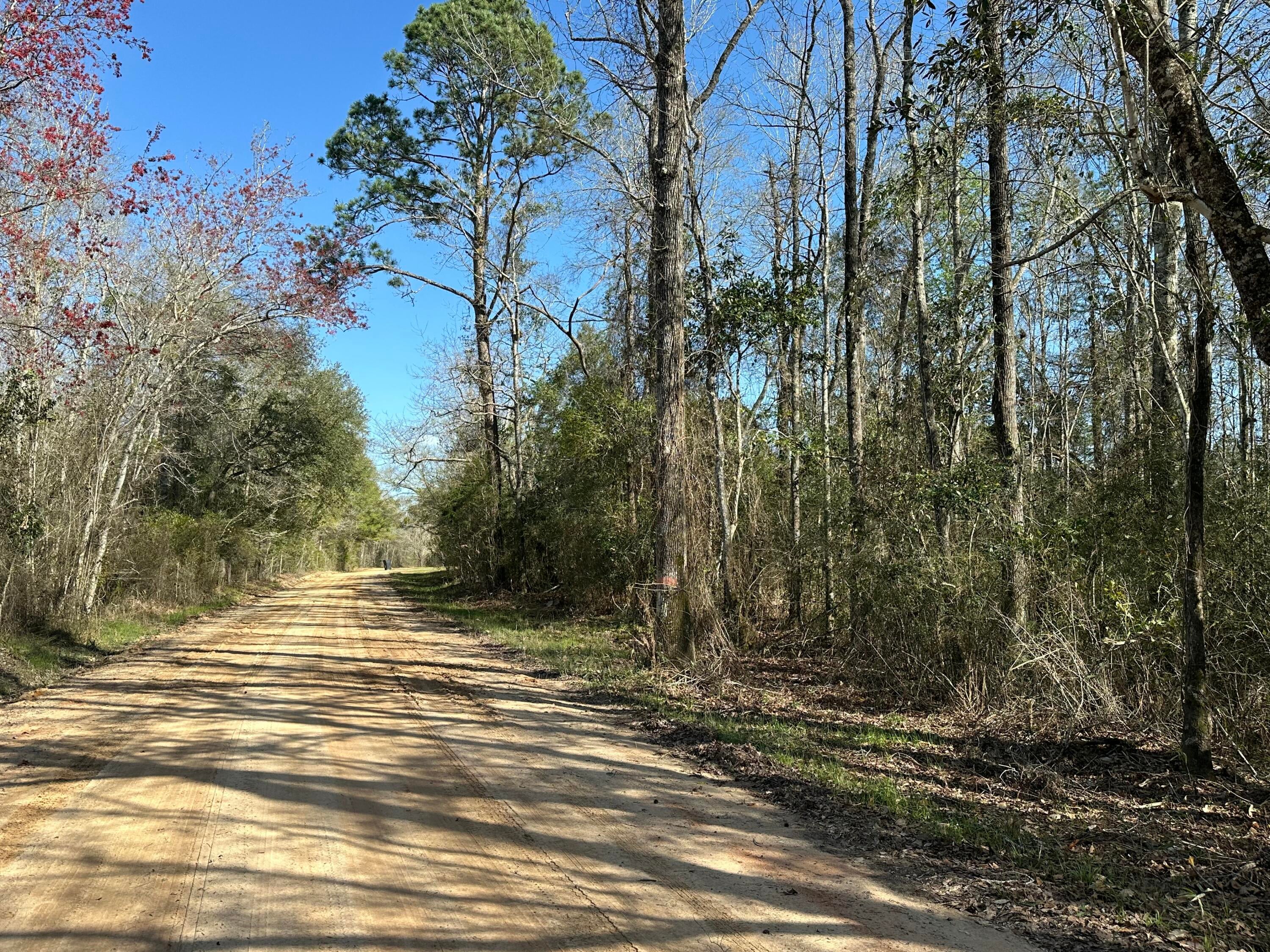 NO RECORDED SUBDIVISION - Land