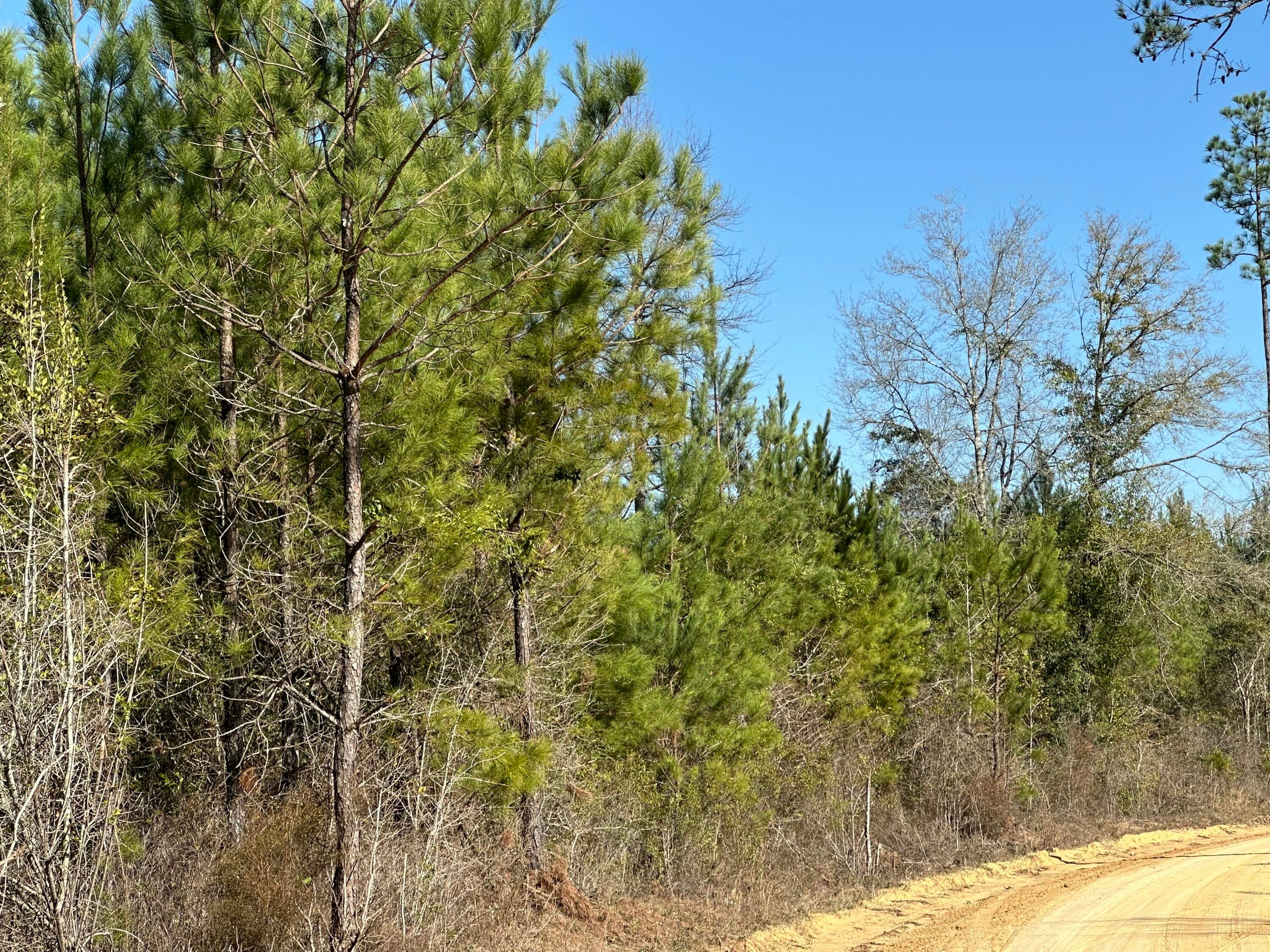 NO RECORDED SUBDIVISION - Land